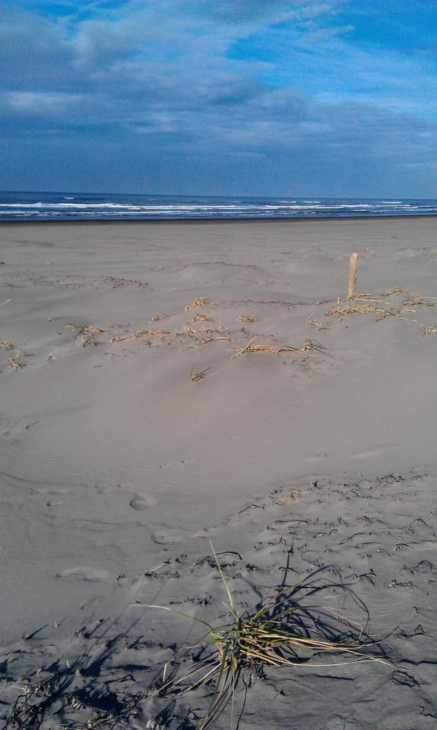 Beach in Historic 1920s Cabin