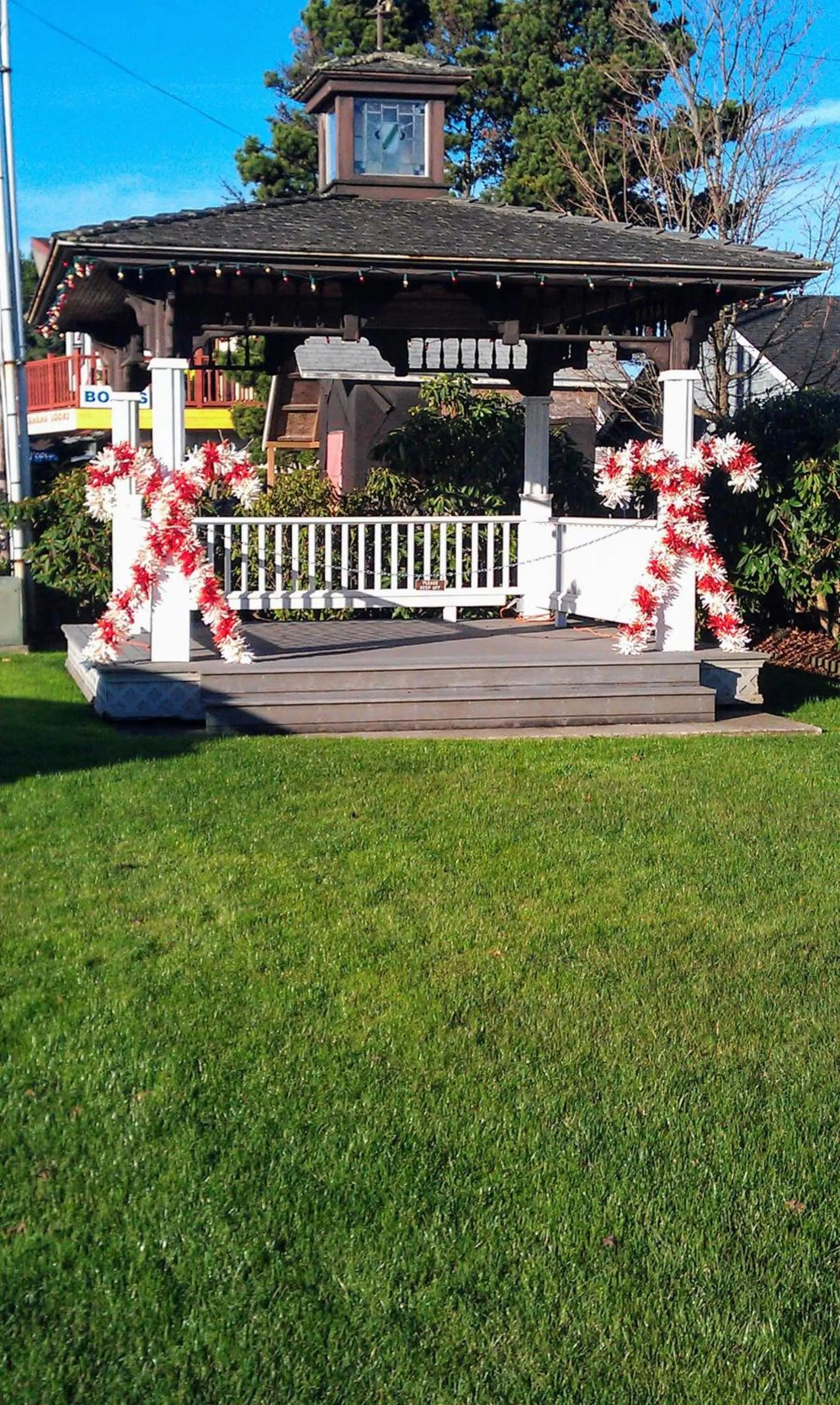 Neighbourhood in Historic 1920s Cabin