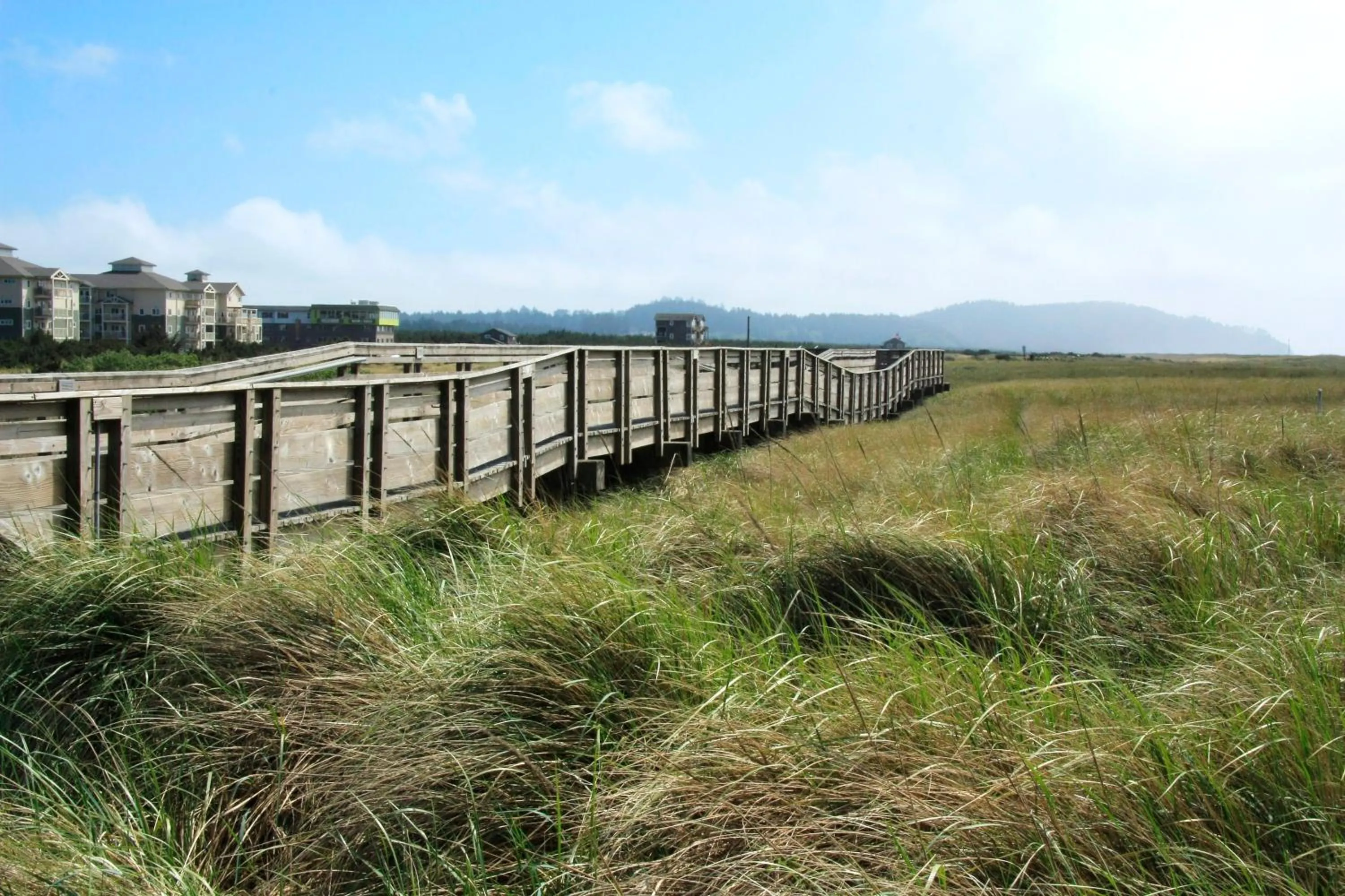 Beach in Historic 1920s Cabin