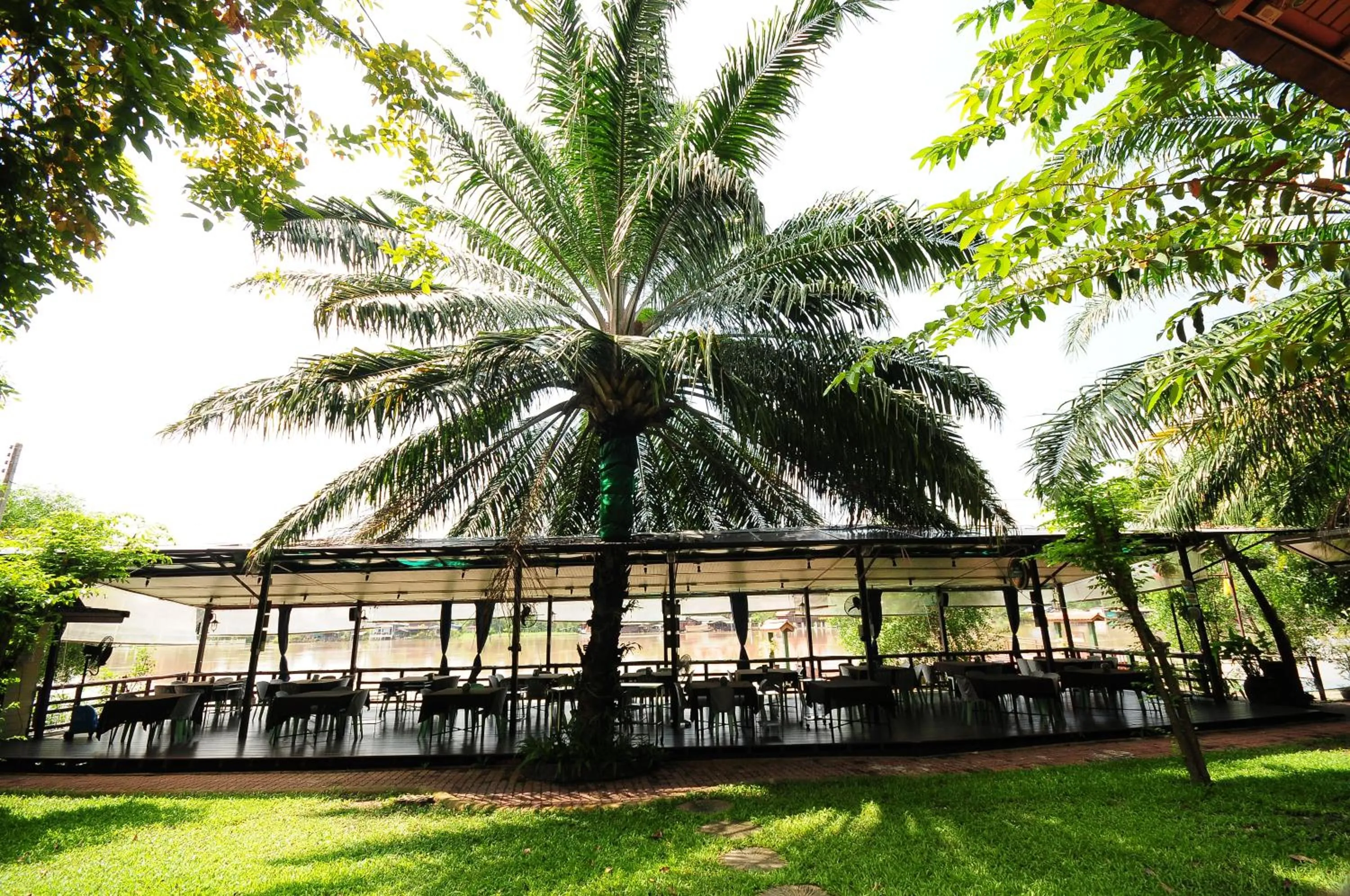 Restaurant/places to eat in Baantip Suantong