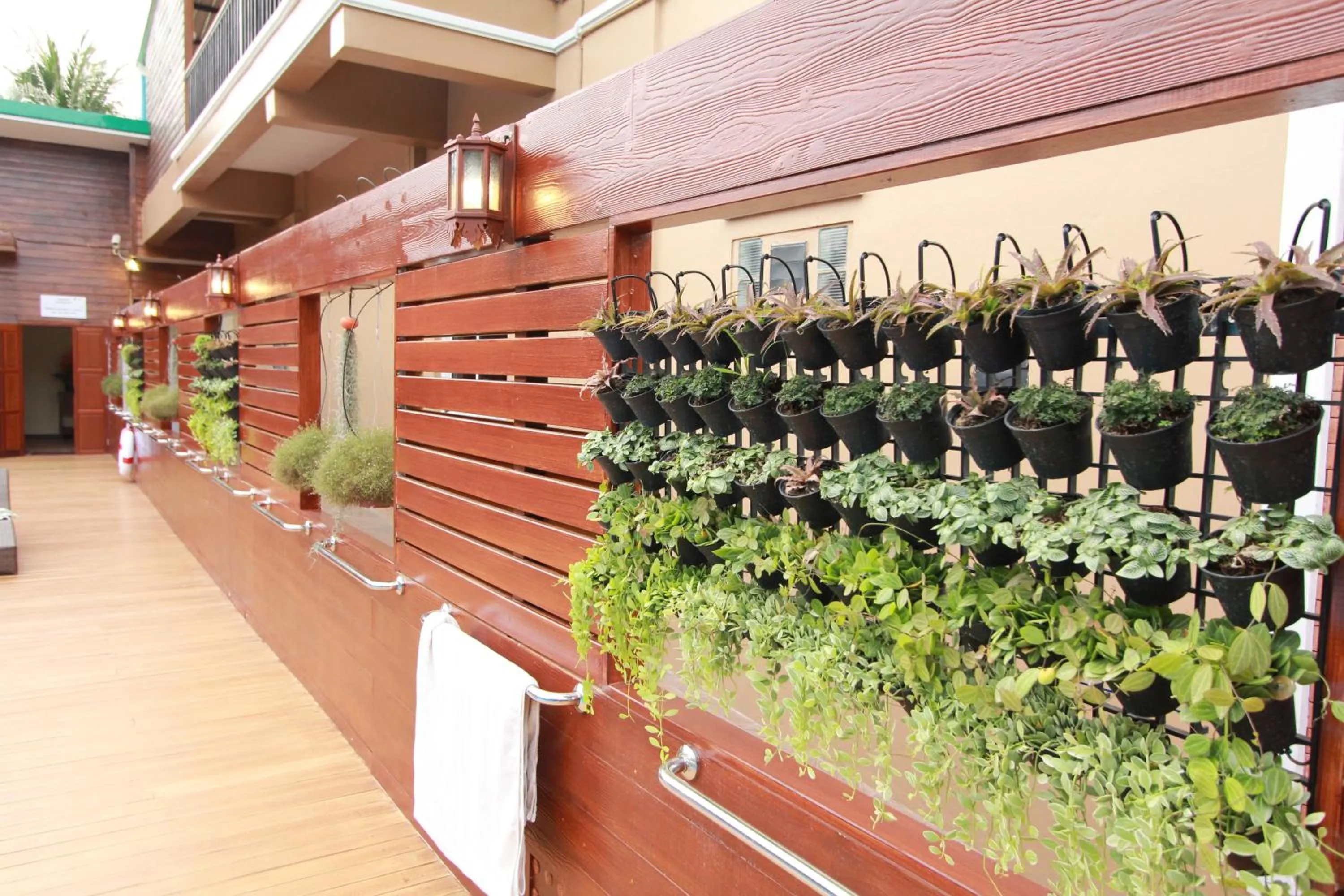 Natural landscape in Baantip Suantong