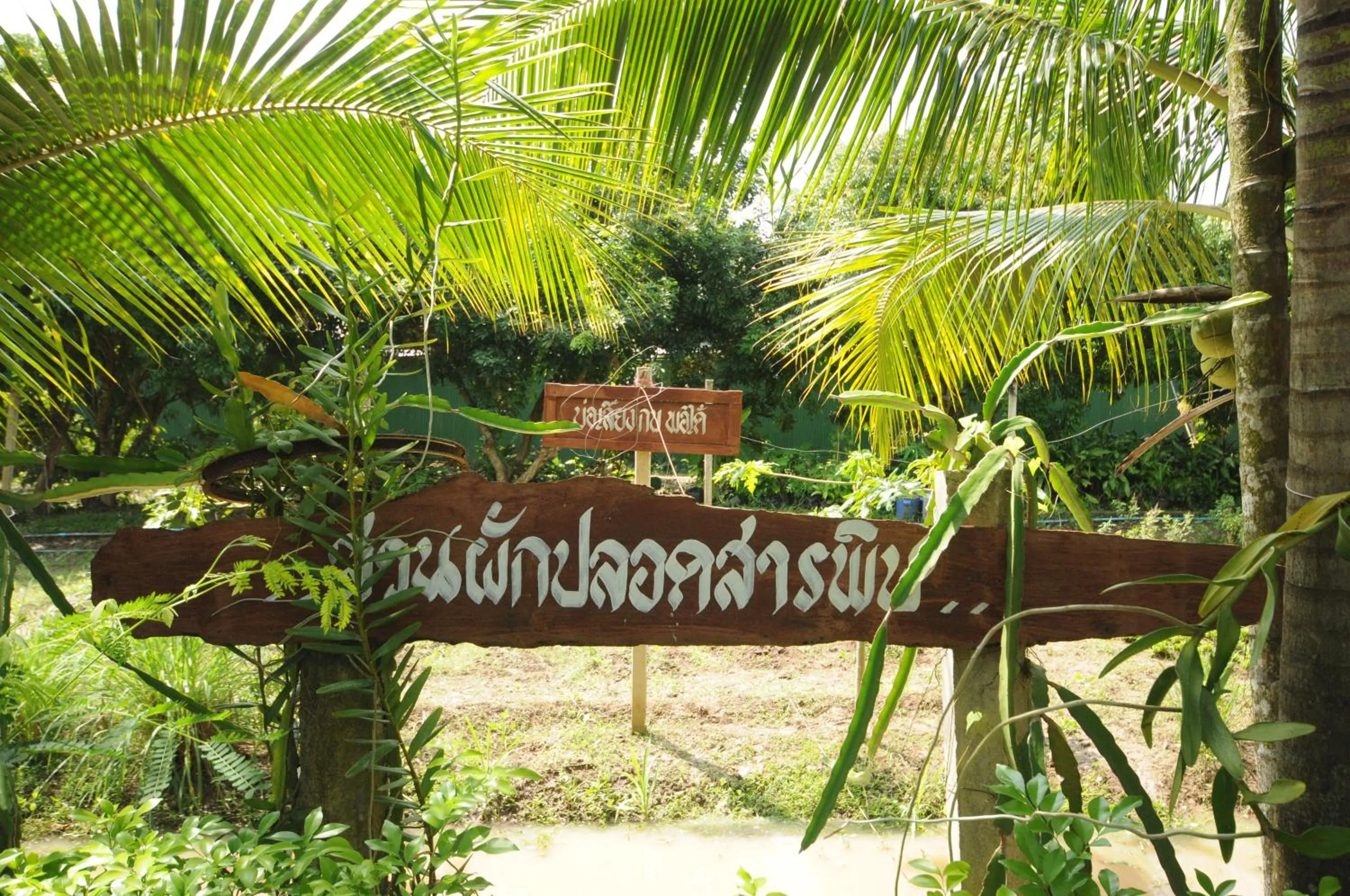 Garden view in Baantip Suantong