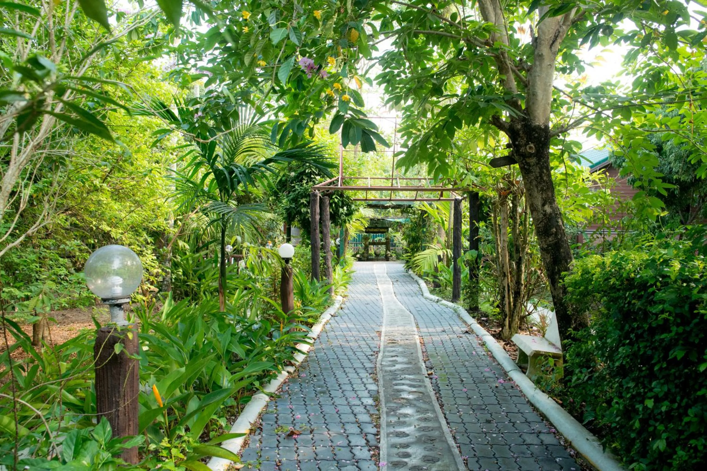 Garden view in Baantip Suantong