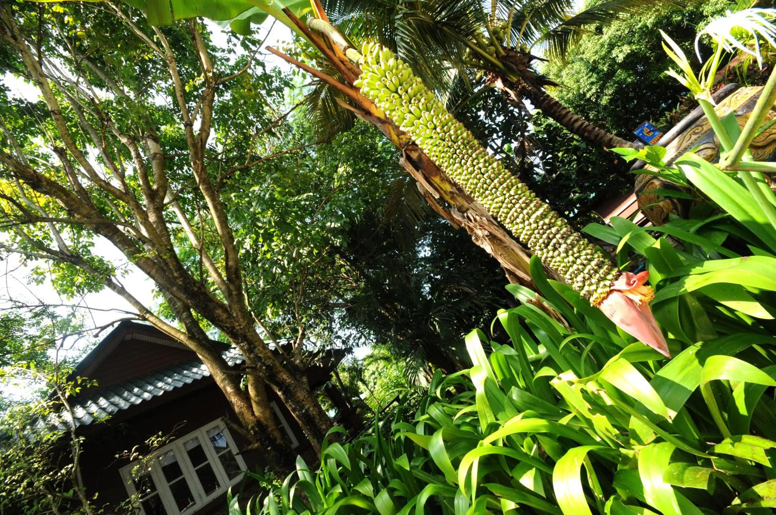 Decorative detail in Baantip Suantong