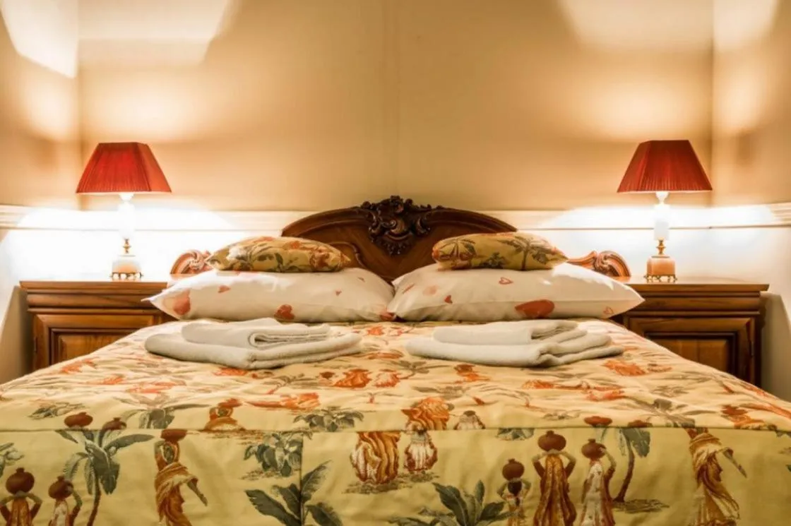 Standard Apartment in Hotel Napoleon