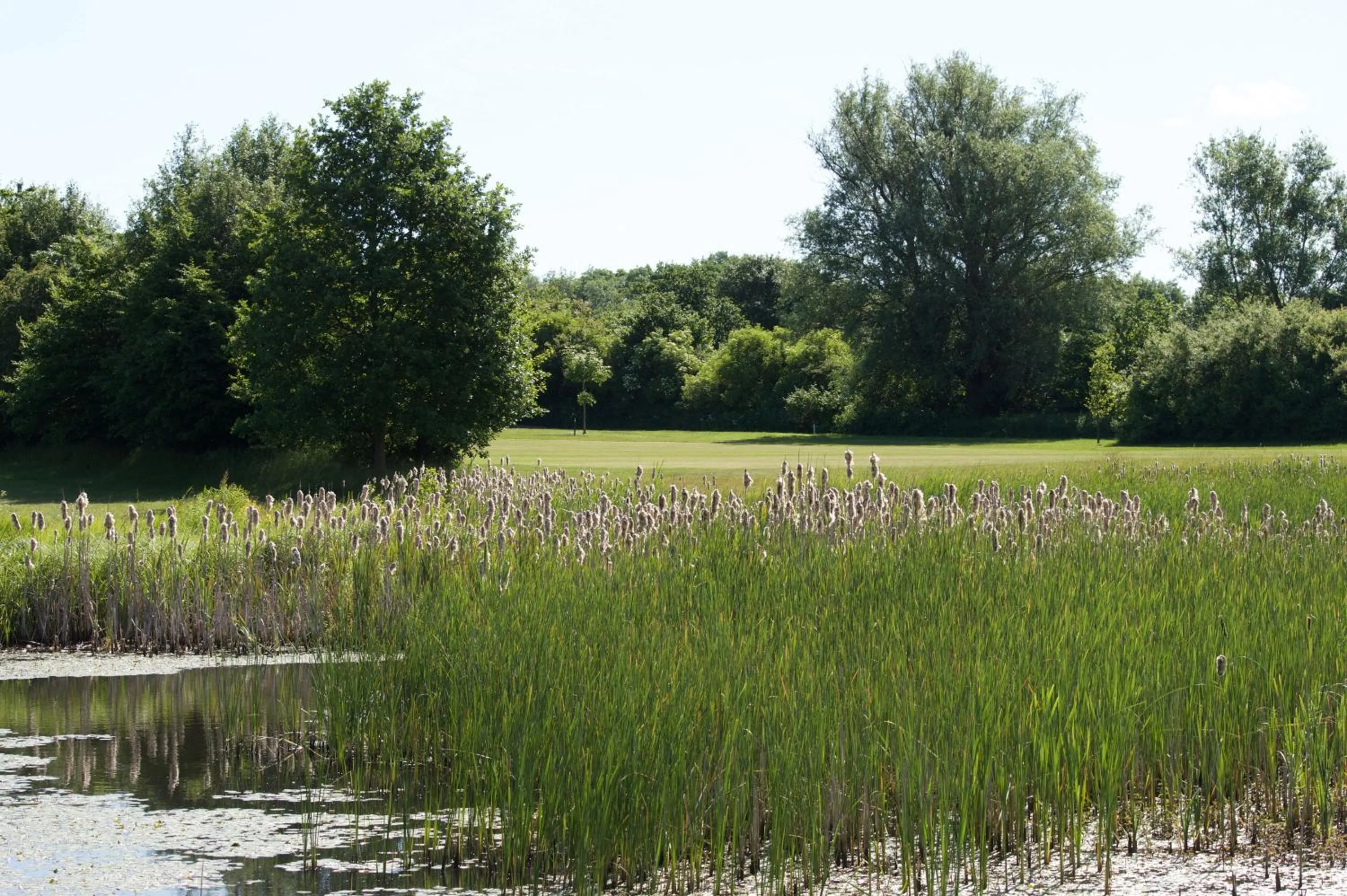Golfcourse in Maritim Seehotel Timmendorfer Strand