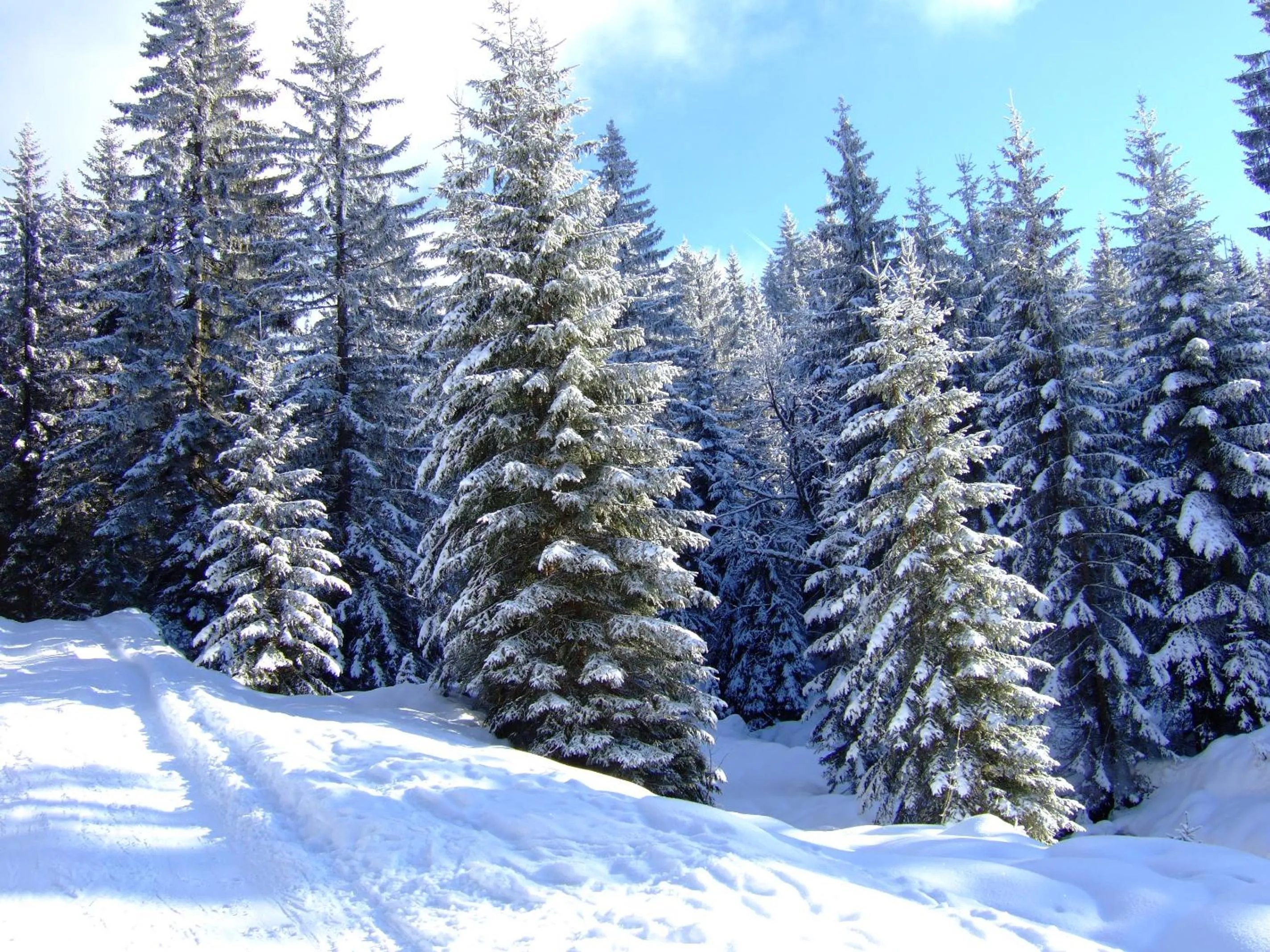 Natural landscape in Hotel zur Post