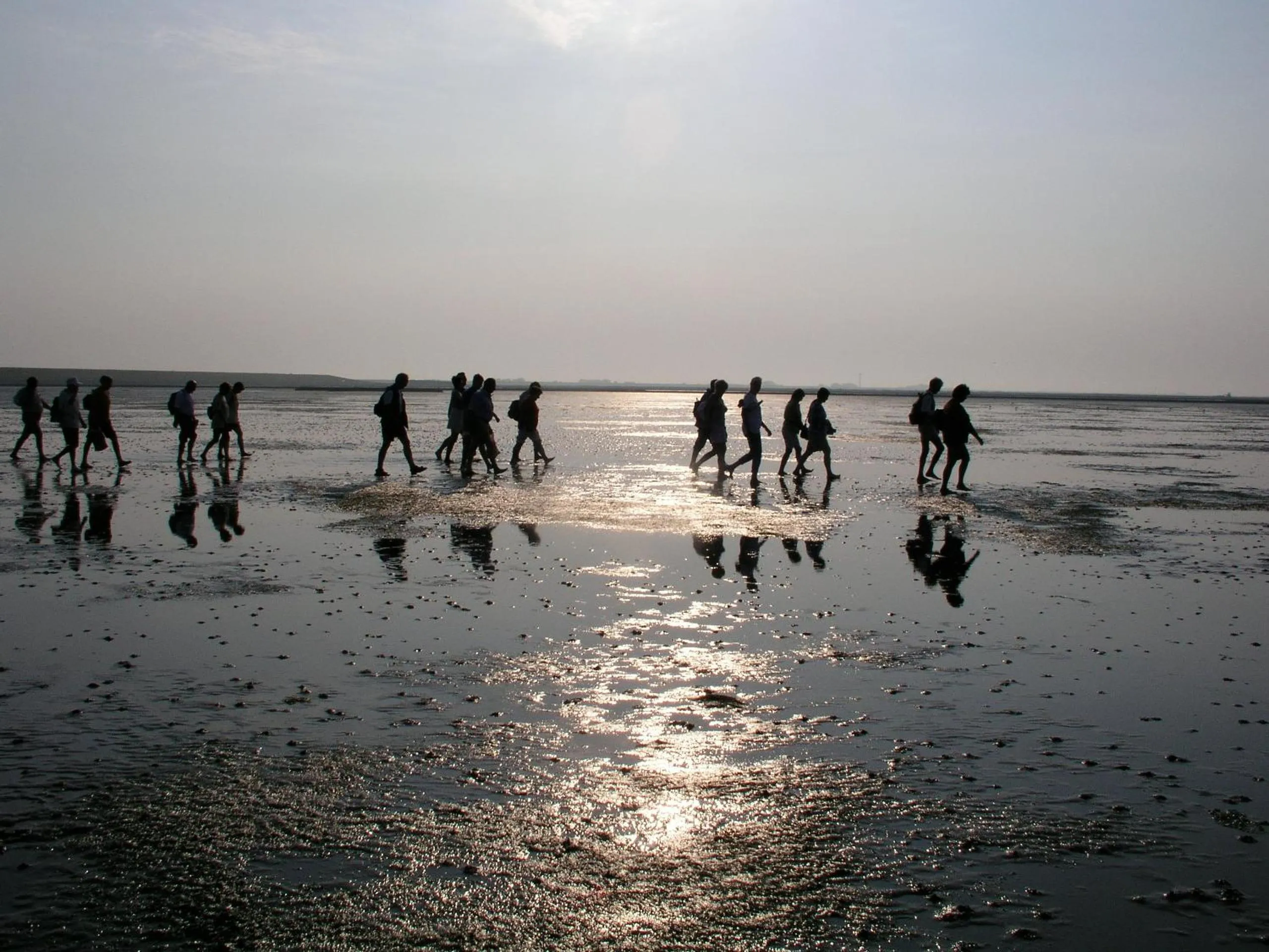 Entertainment in Hotel & Restaurant Villa Ulmenhof