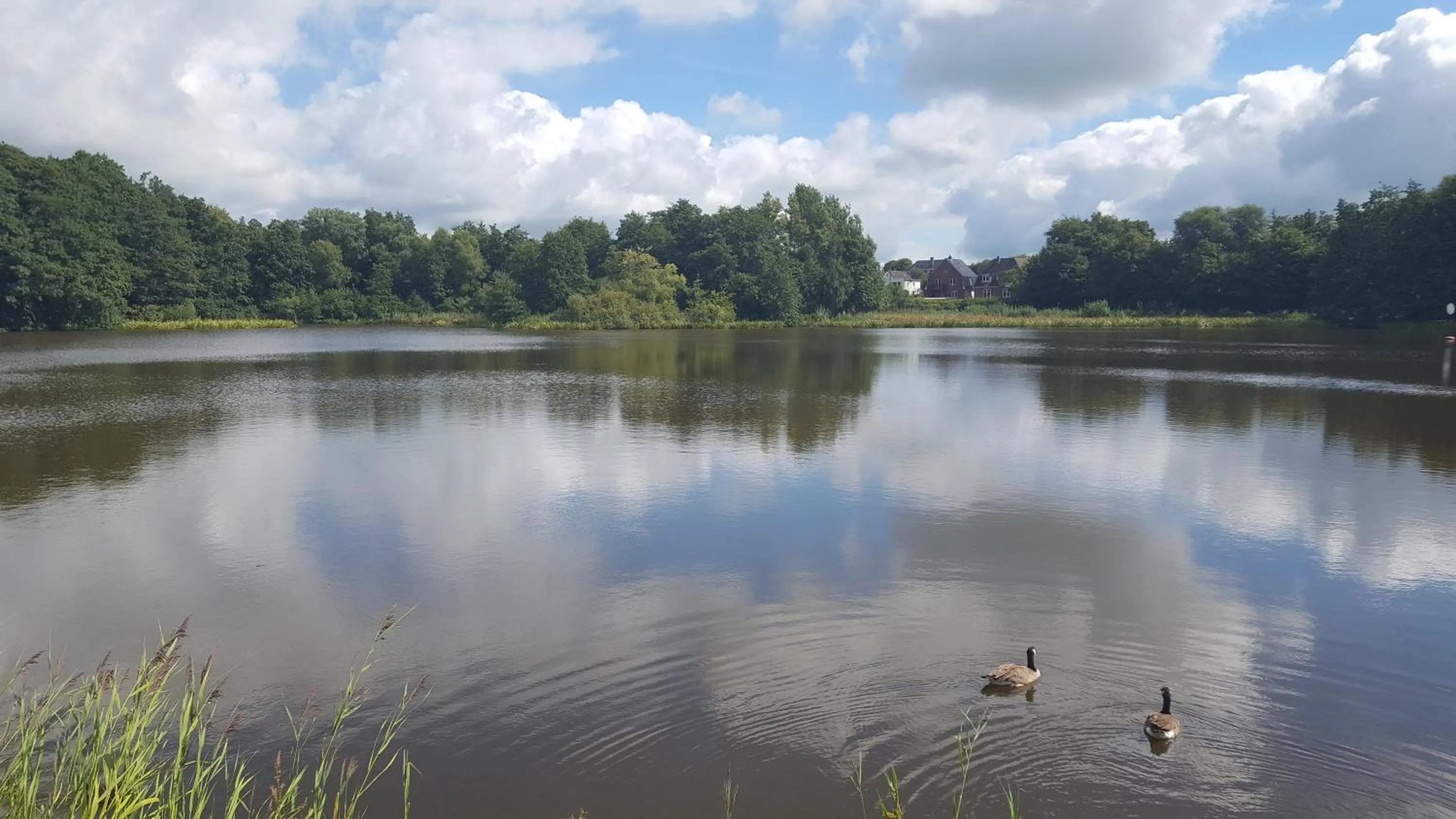 Natural landscape in Hotel & Restaurant Villa Ulmenhof