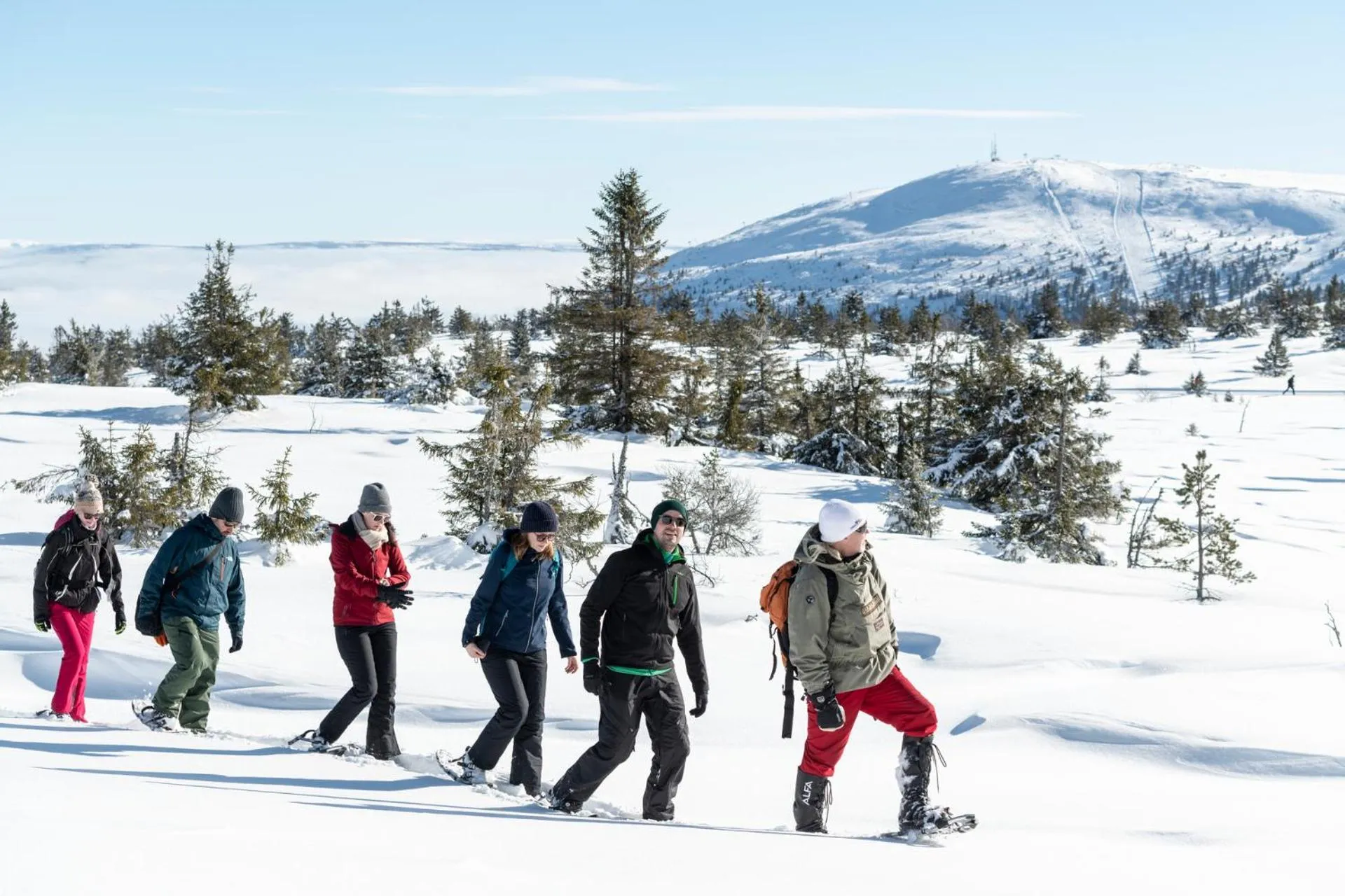 Activities in Villa Sole, Trysil