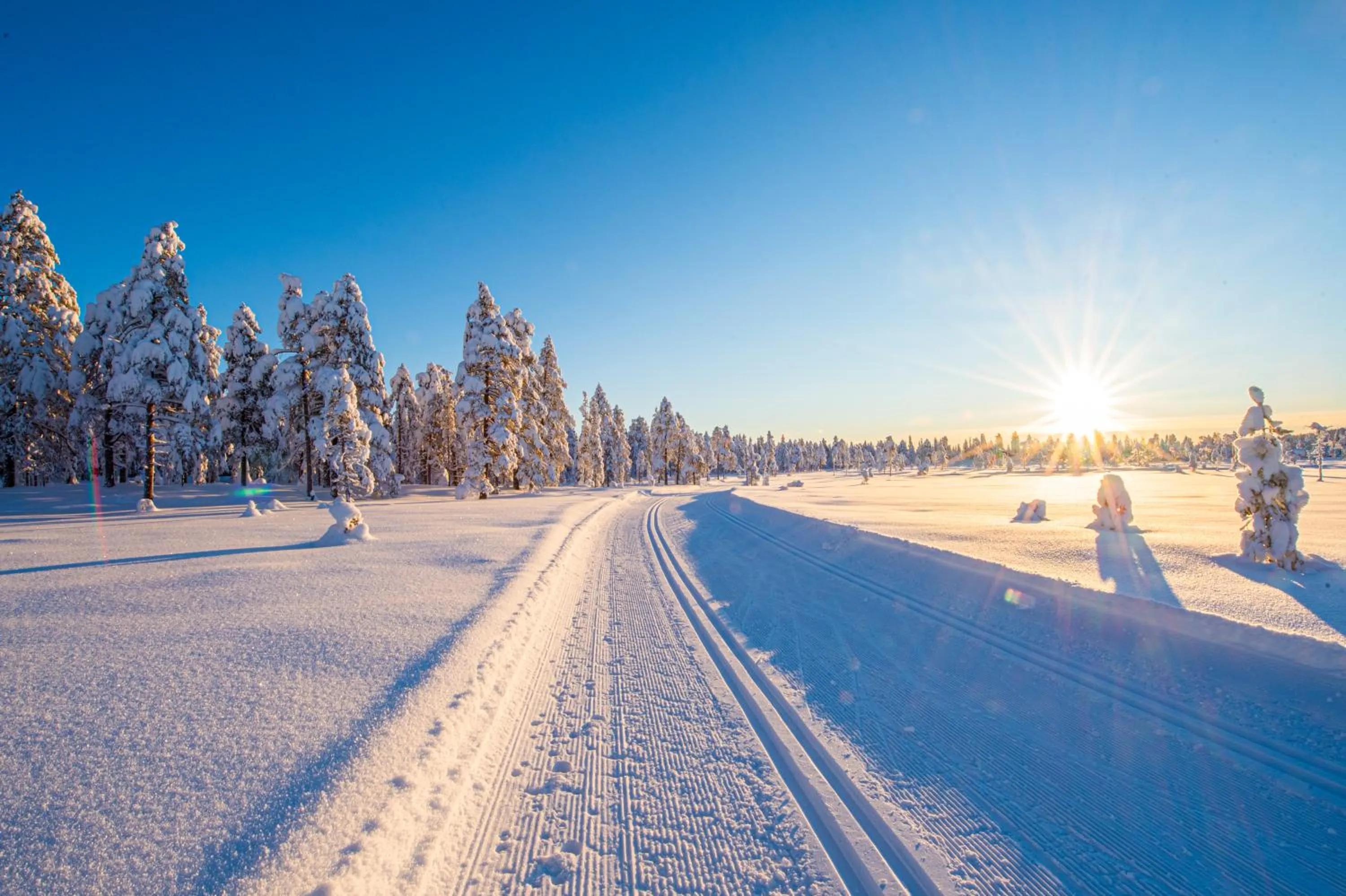 Natural landscape in Villa Sole, Trysil