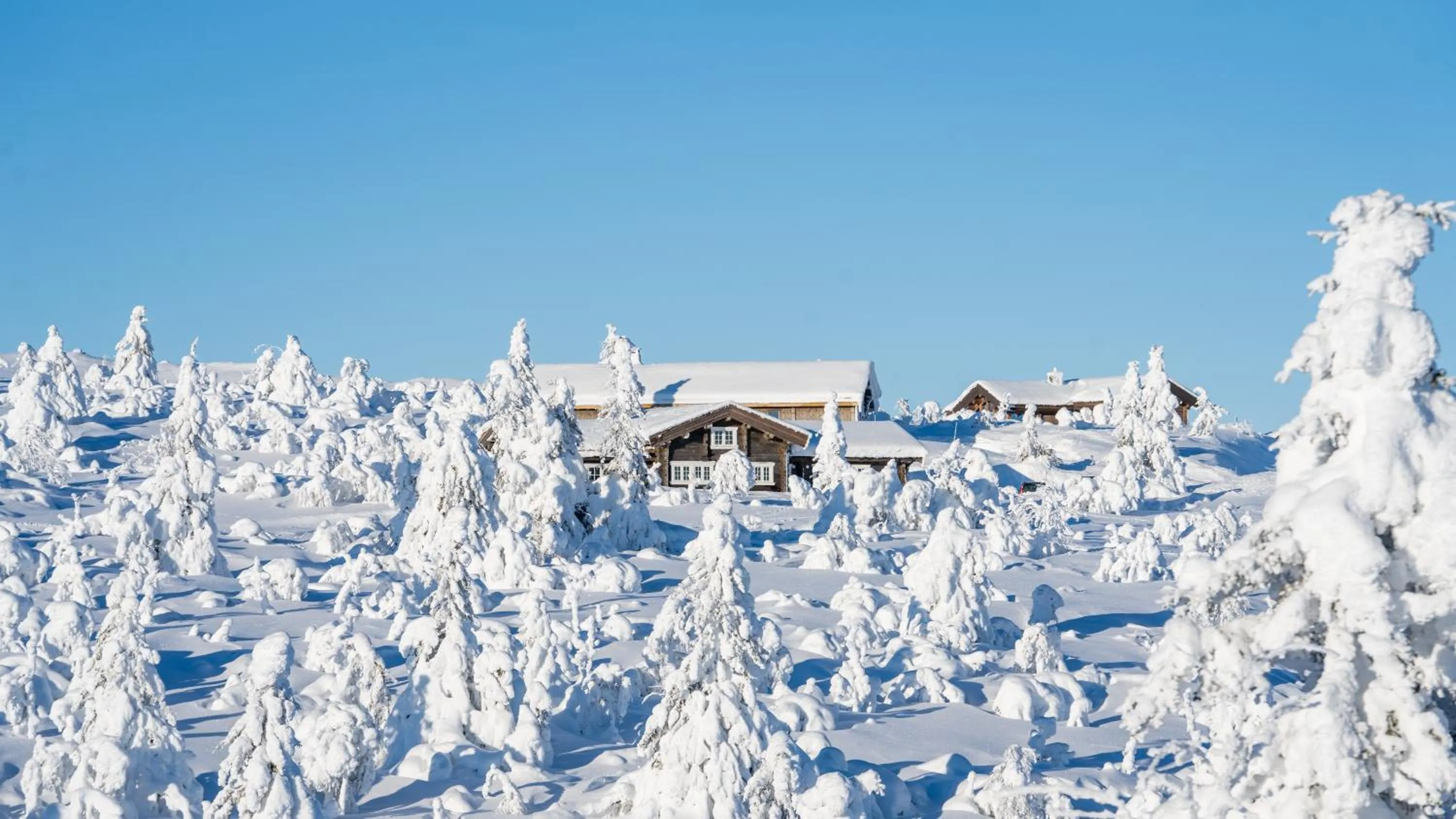 Natural landscape in Villa Sole, Trysil