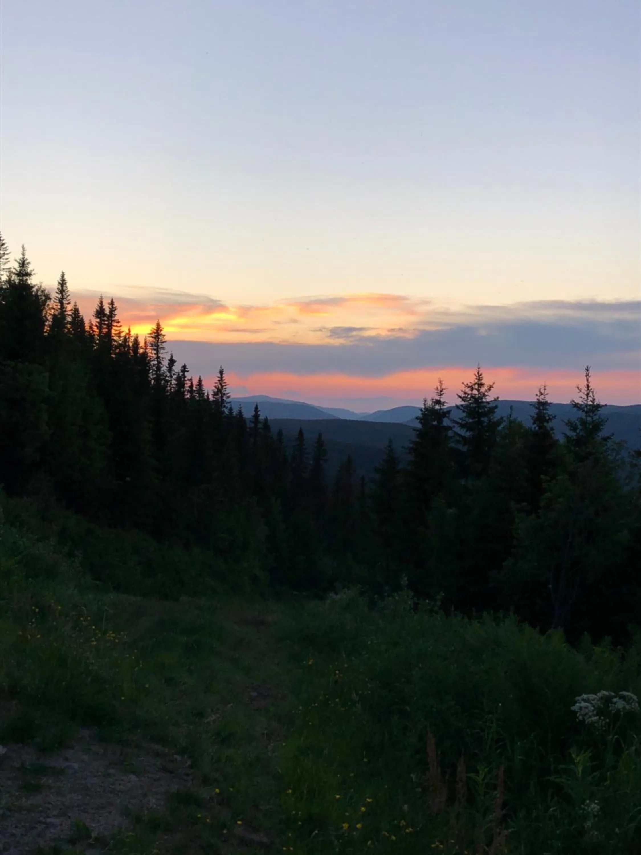 Activities in Villa Sole, Trysil