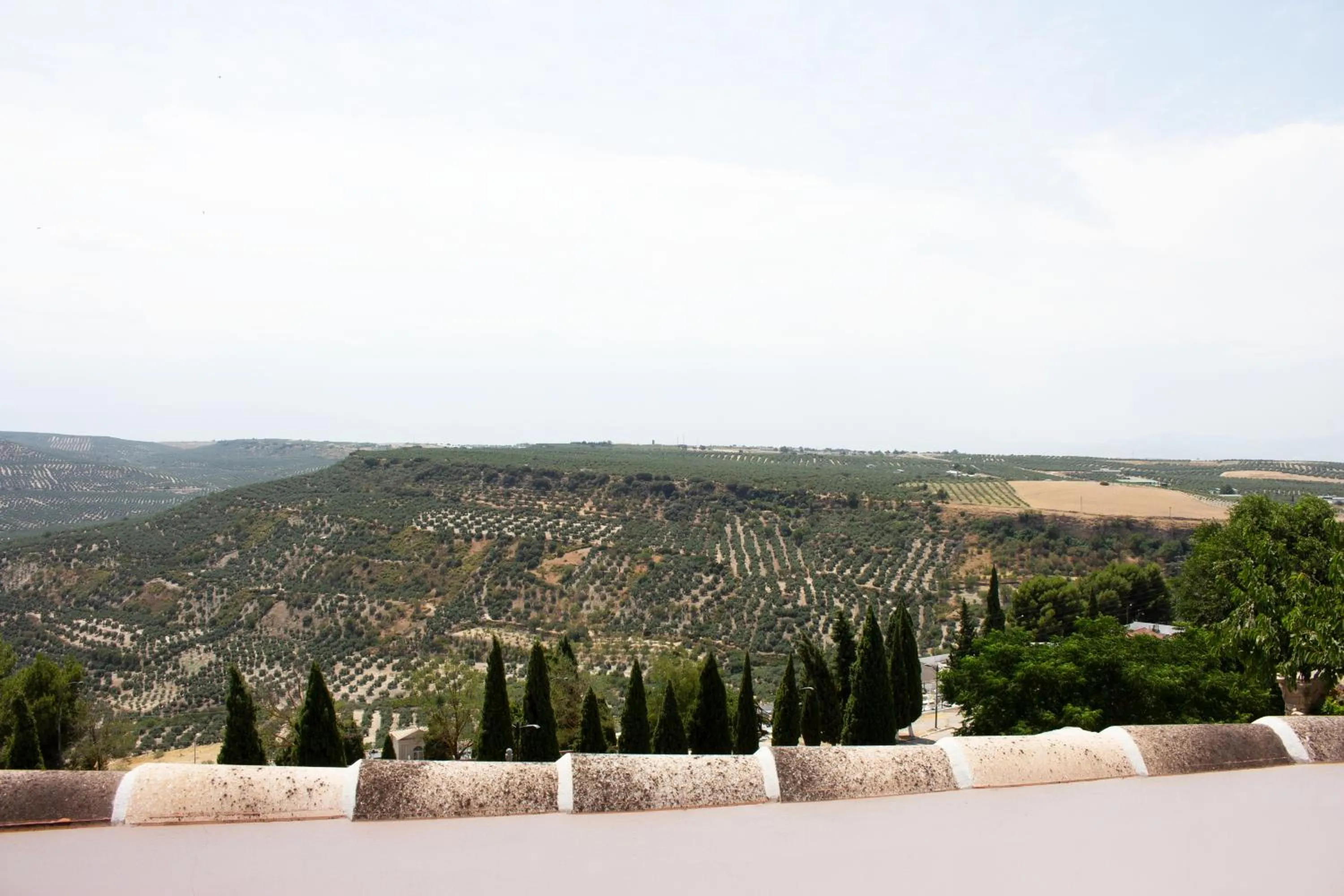 Natural landscape in Hotel Rural Molino del Albaicín
