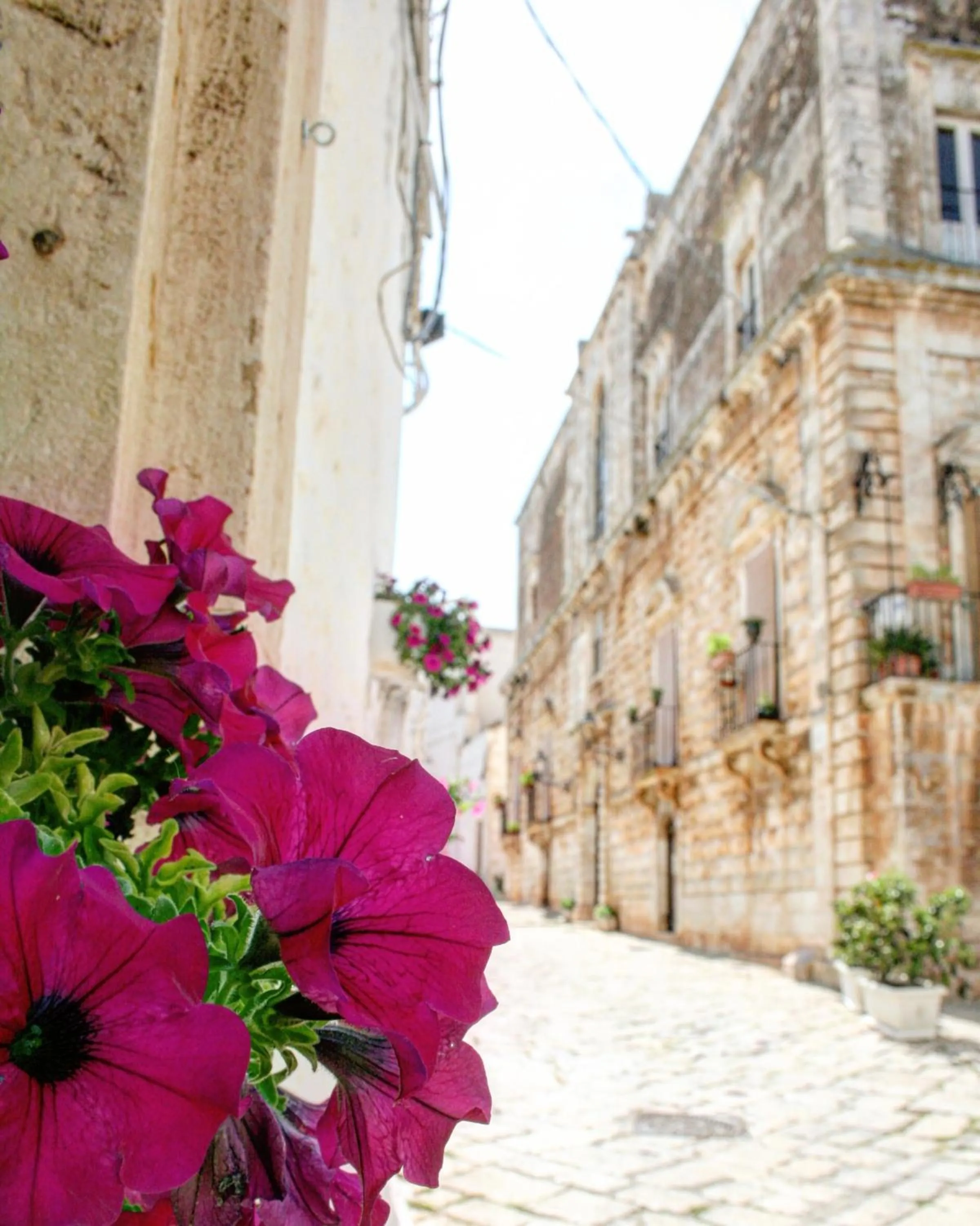 Day in Domus Petra 104