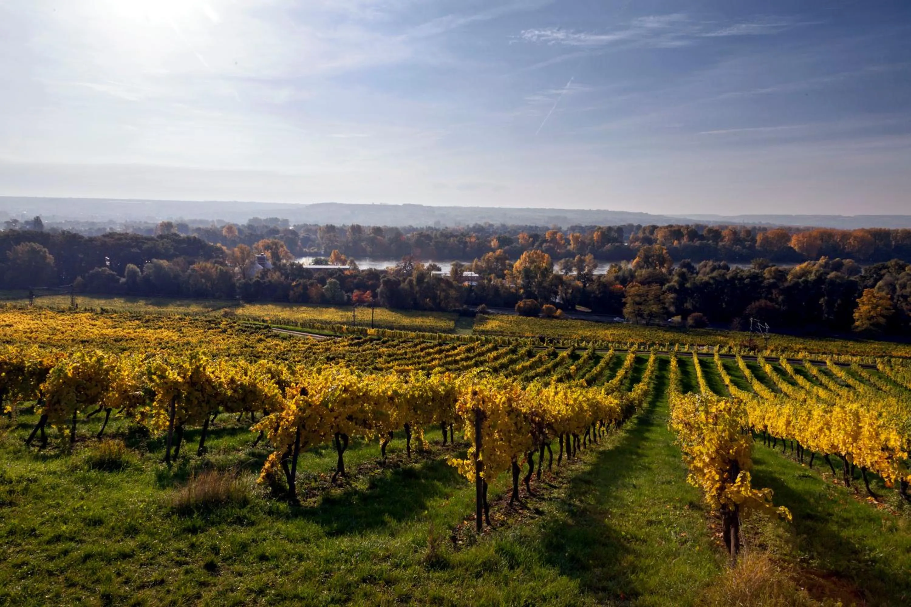 Autumn in Hotel Trapp