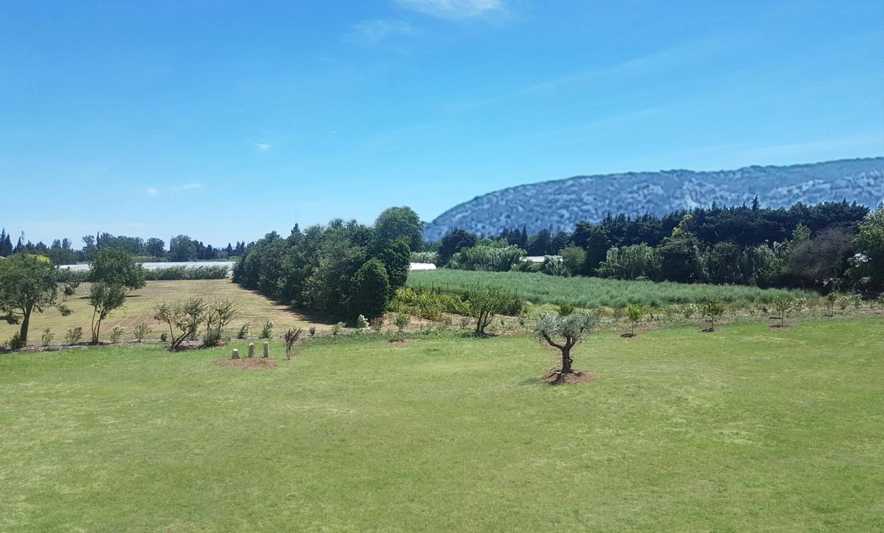 Garden in Mas Des Fugueyrolles