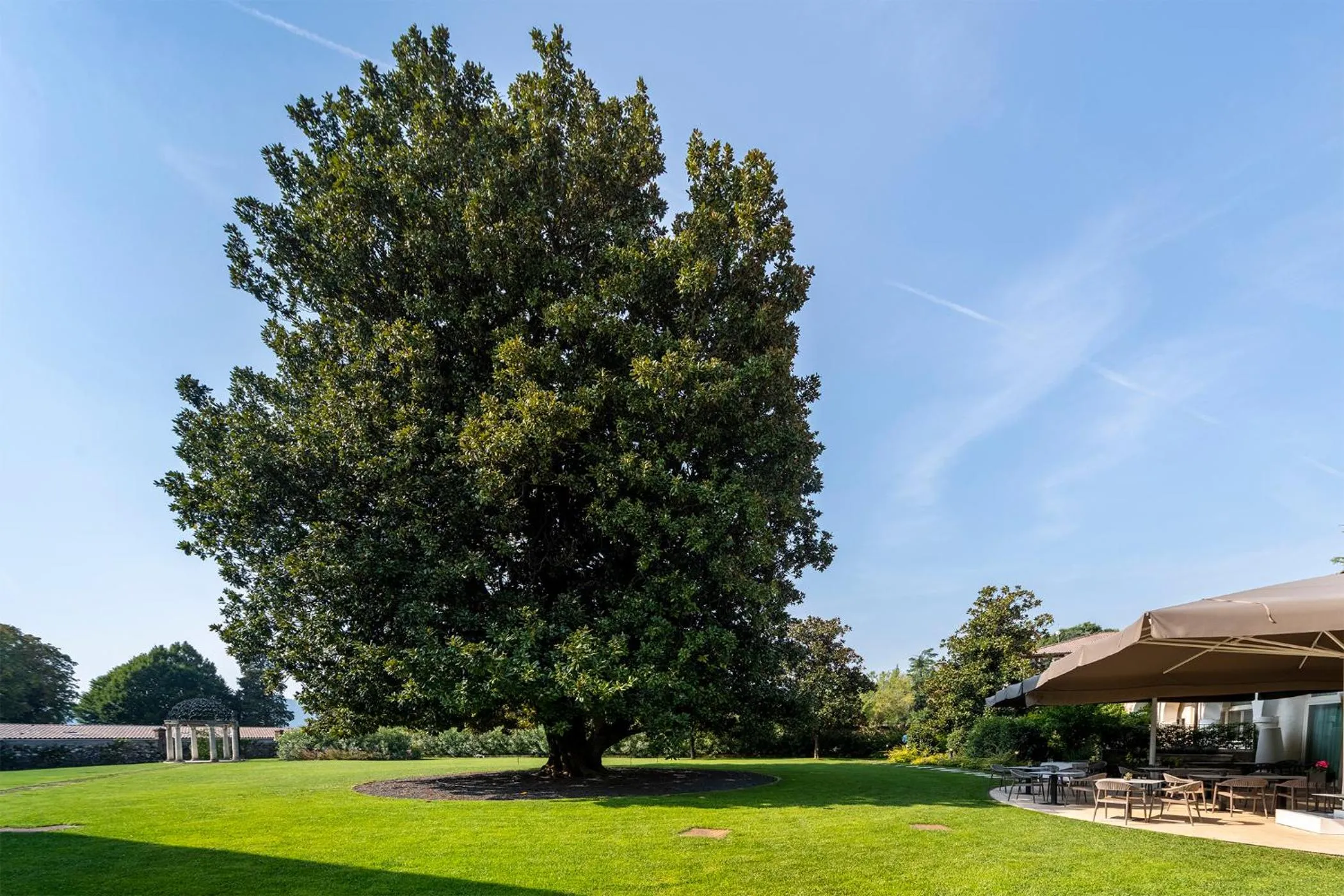 Garden in Hotel Villa I Pini