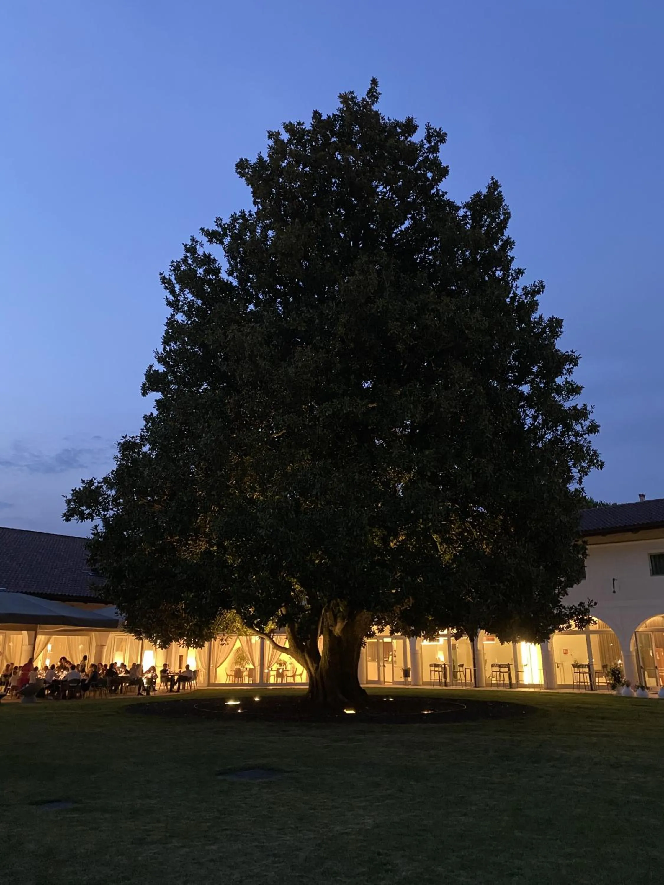 Garden in Hotel Villa I Pini