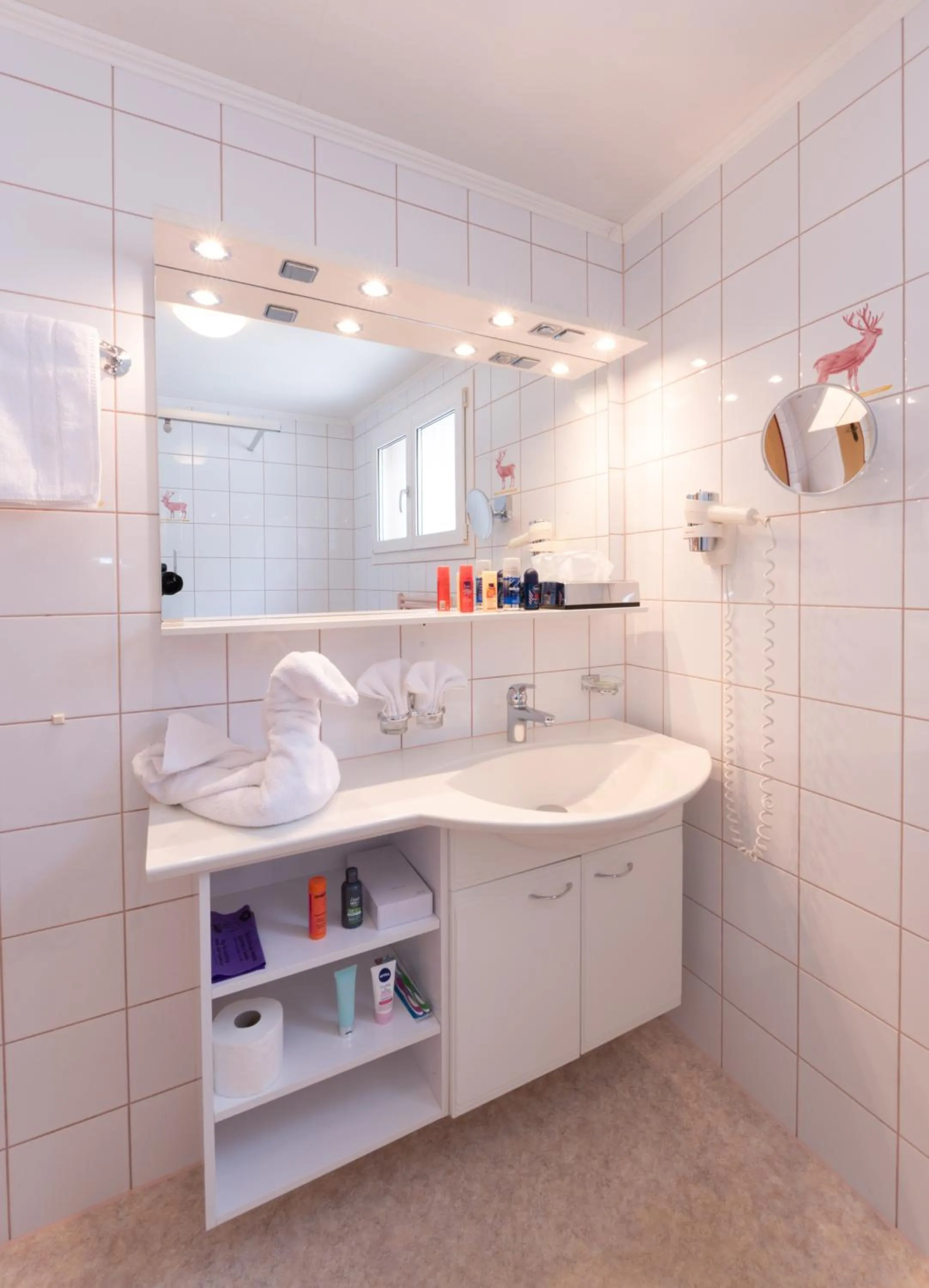 Bathroom in Hotel Hirschen - Grindelwald