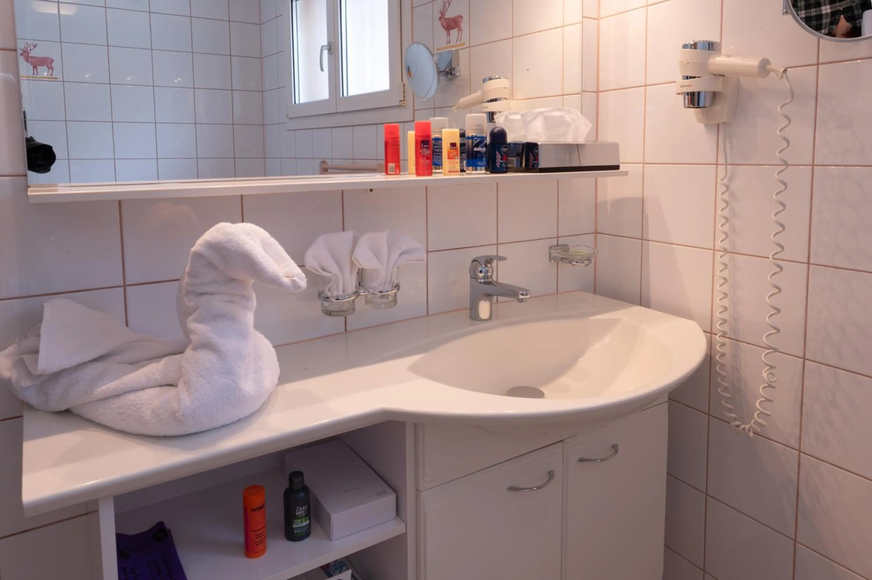 Bathroom in Hotel Hirschen - Grindelwald