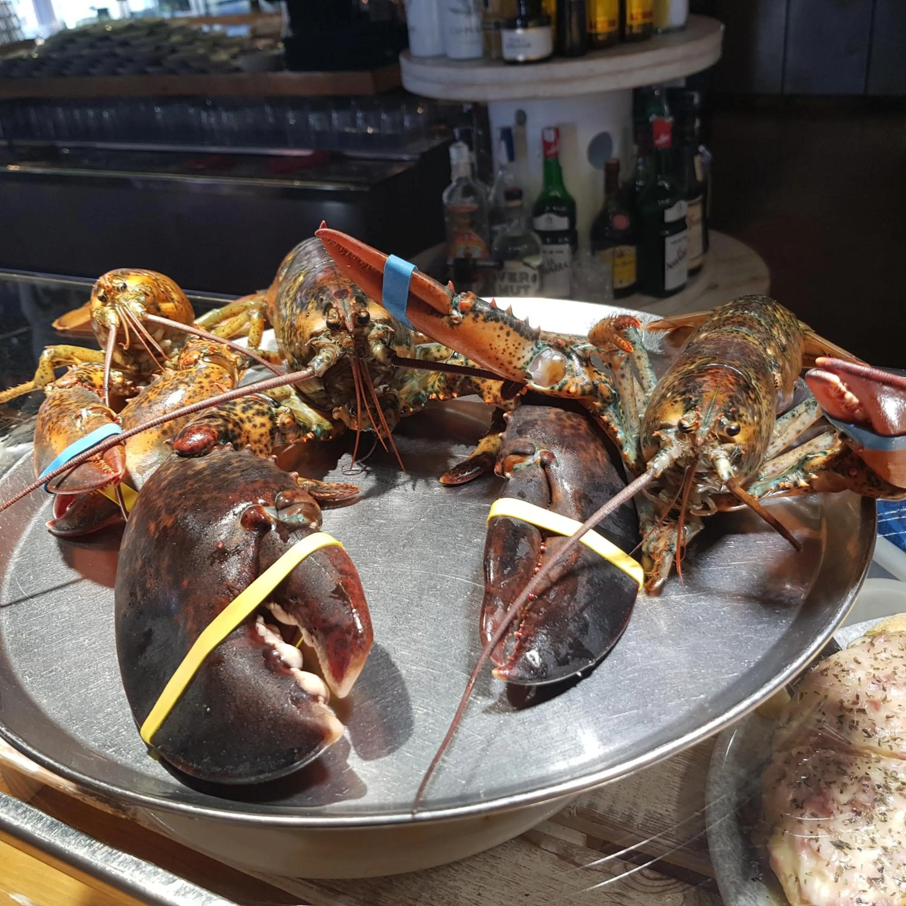 Restaurant/places to eat in El Hostel & CO