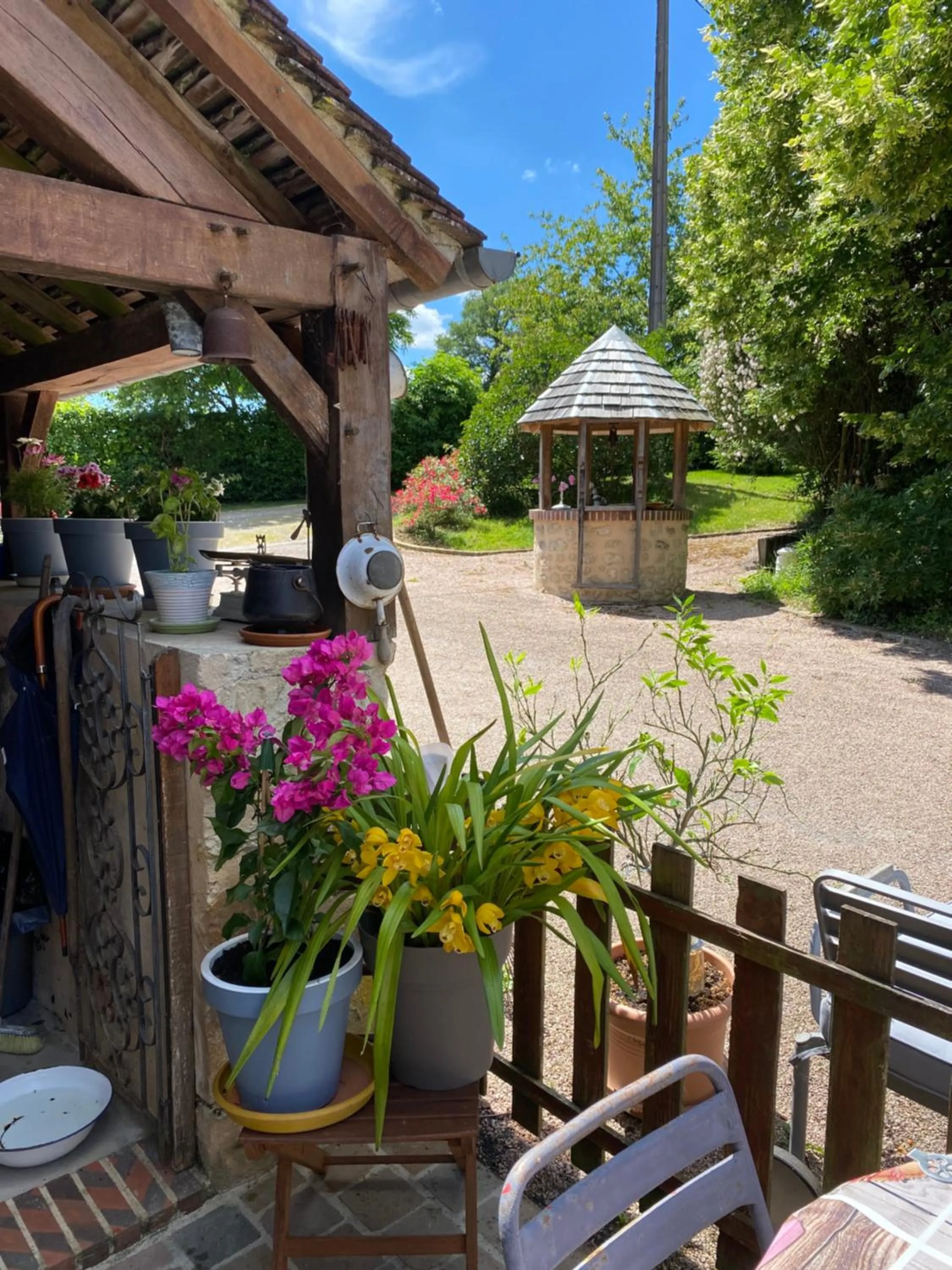 Garden in Chambre d'Hôtes du Domaine de la Haute Poignandiere