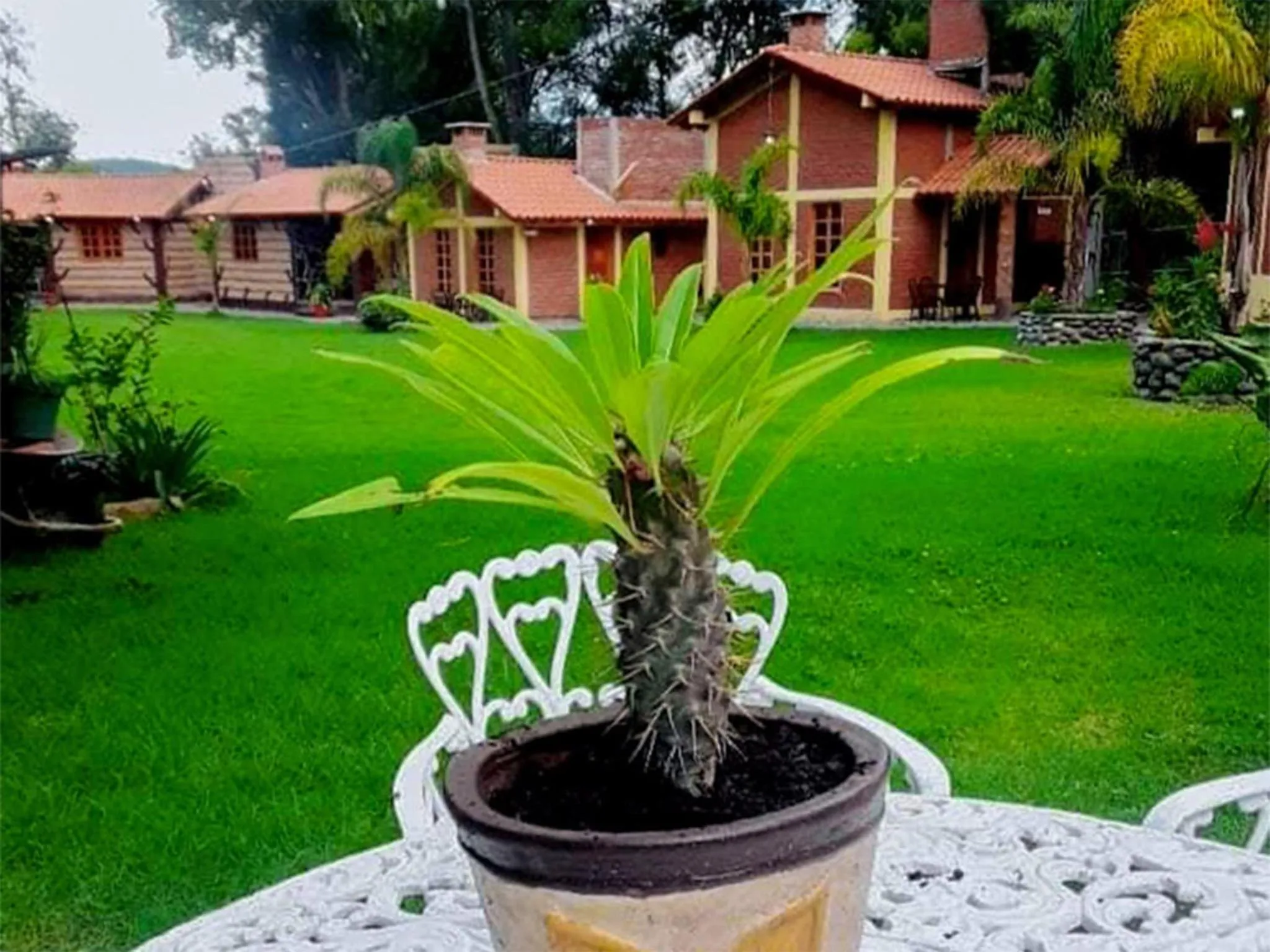 Property building in Cabañas del Bosque