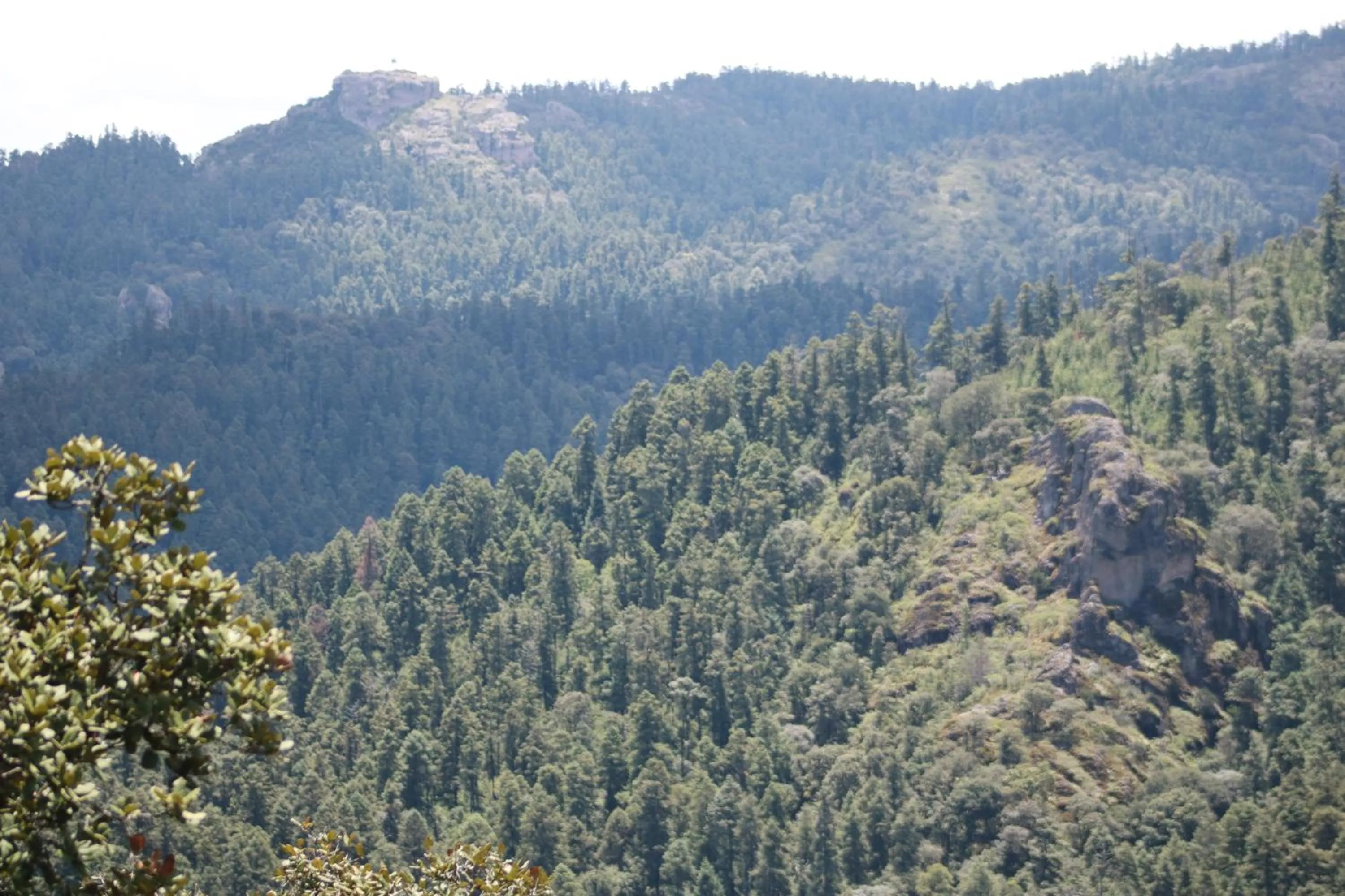 Mountain view in Cabañas del Bosque