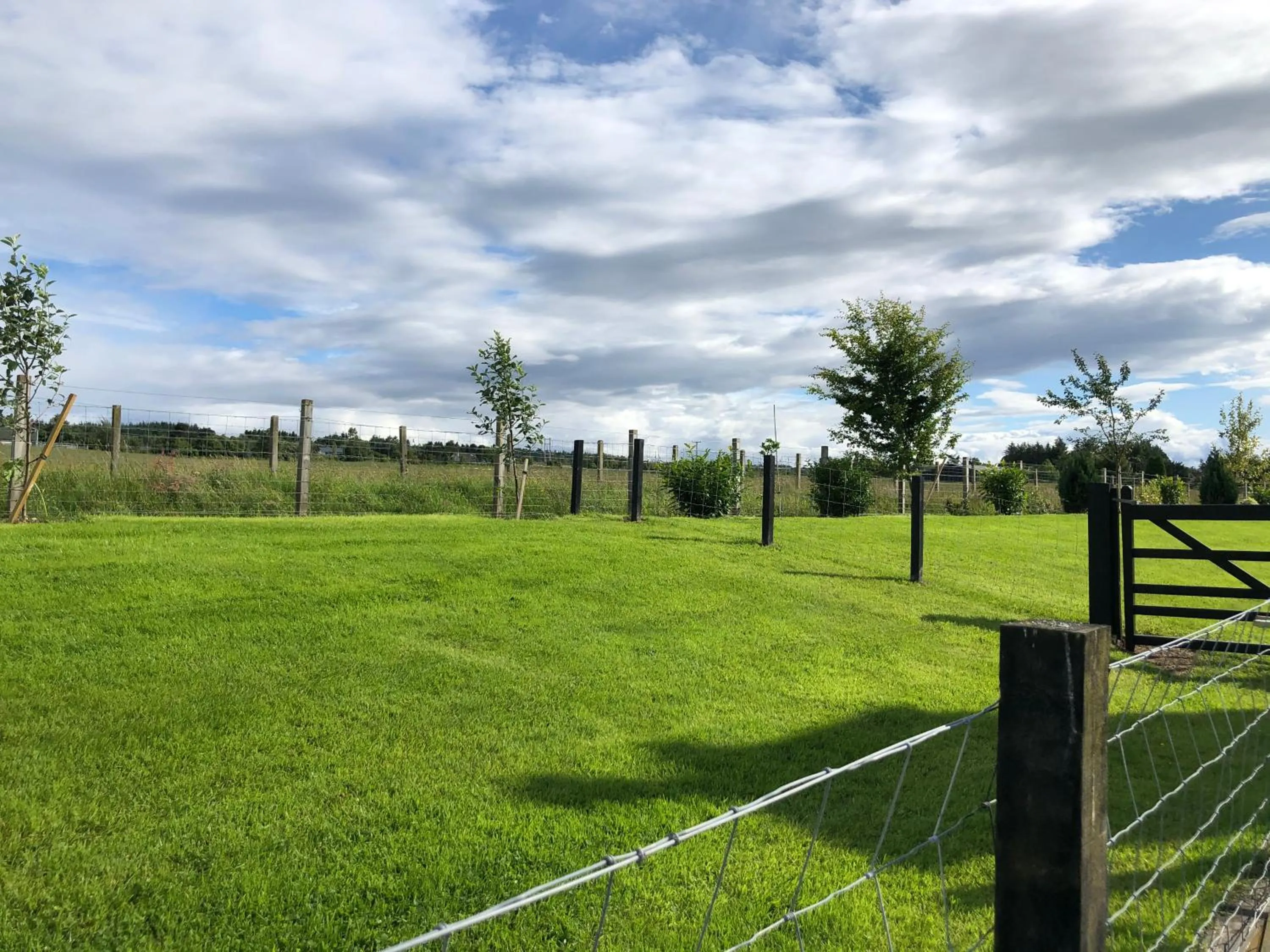 Garden view in The Chalet
