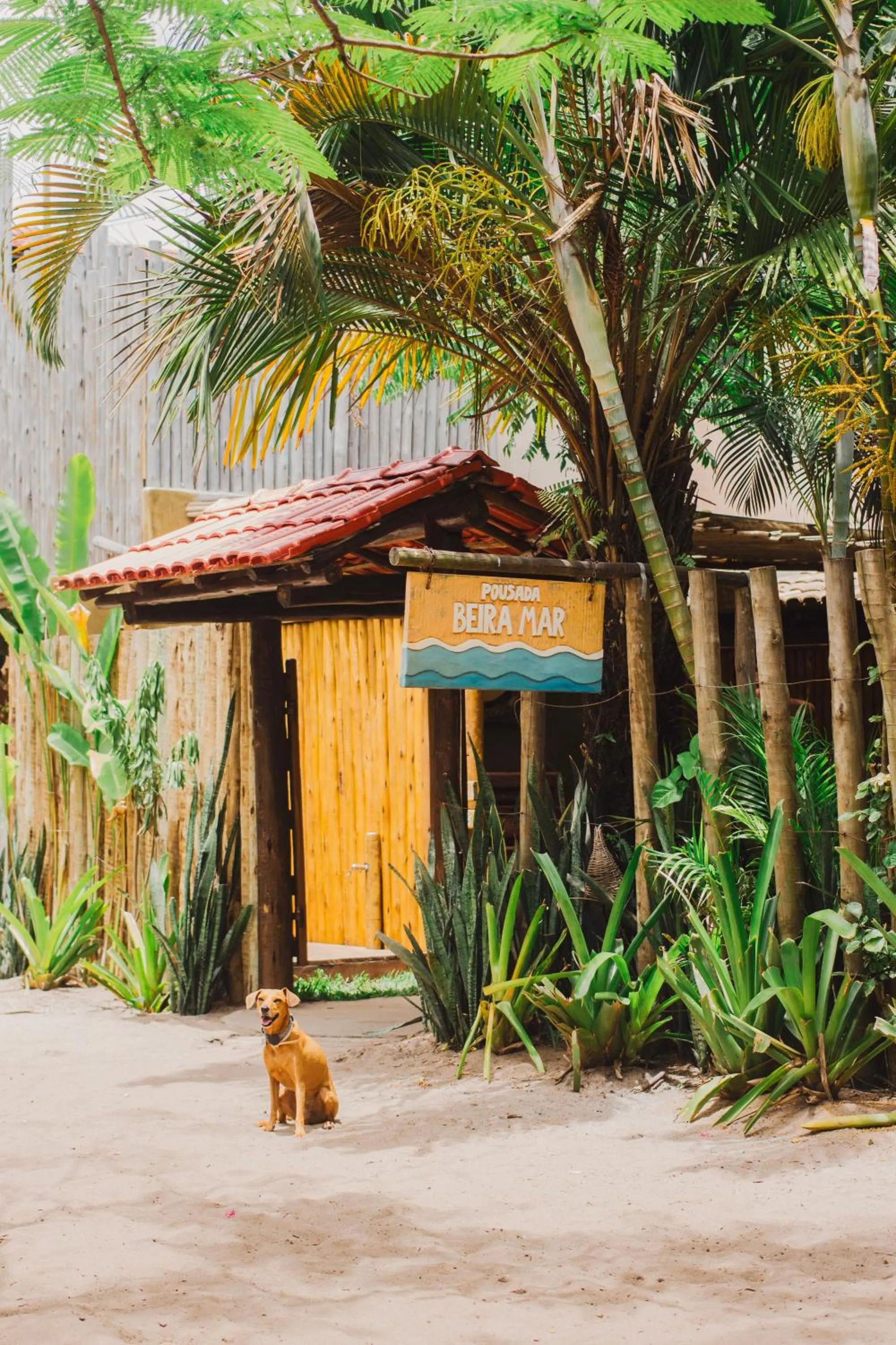 Natural landscape in Pousada Beira Mar