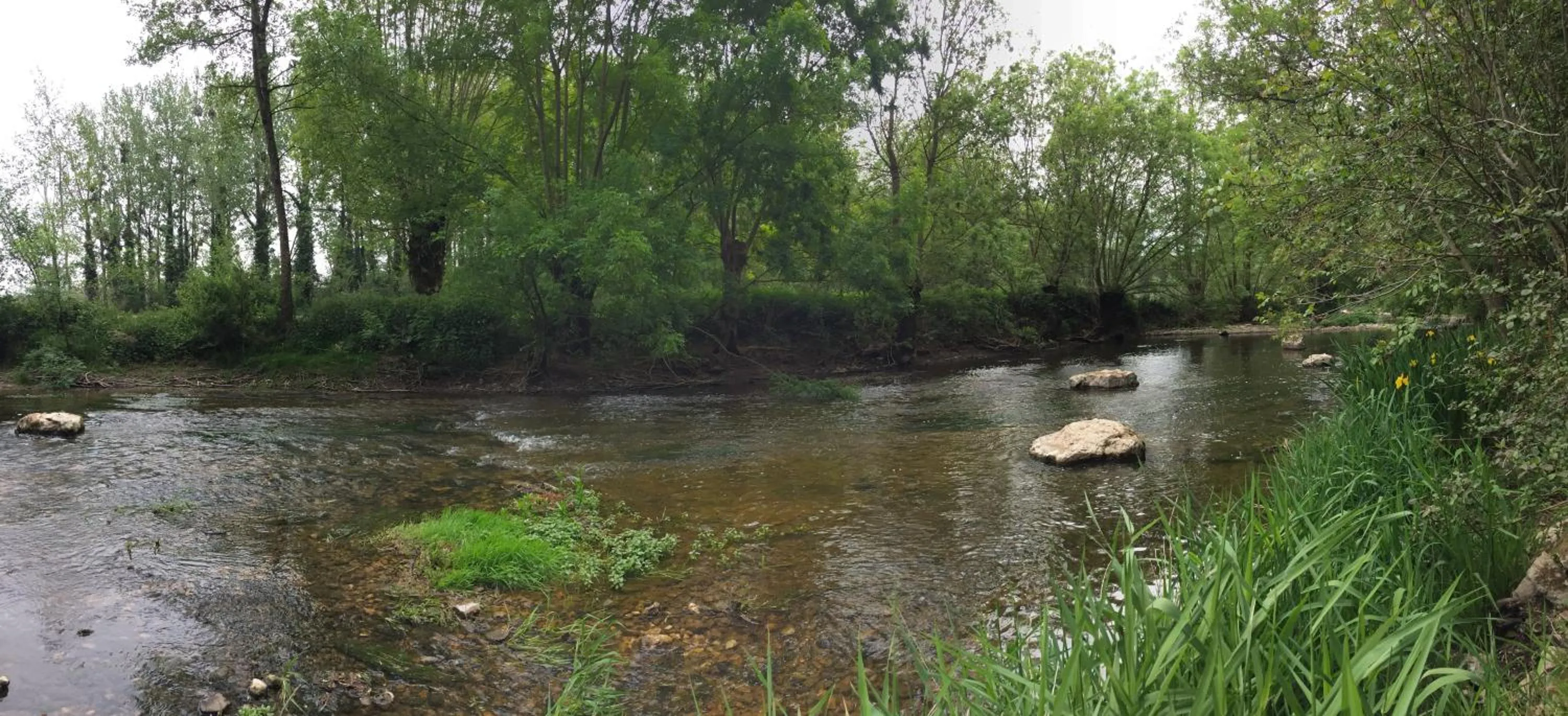 Fishing in Rêves d'Autise