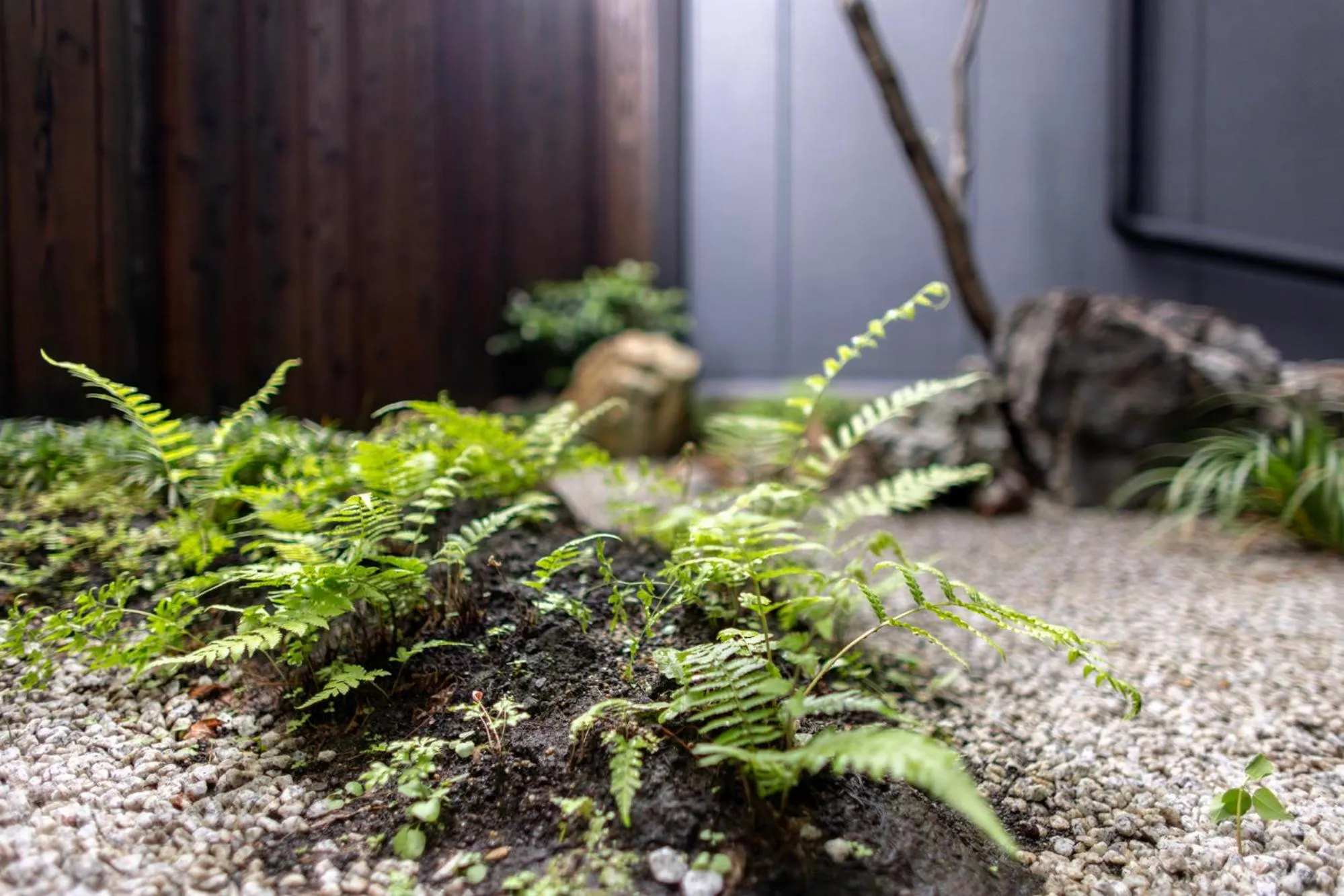 Patio in MADOKA Kyoto station west