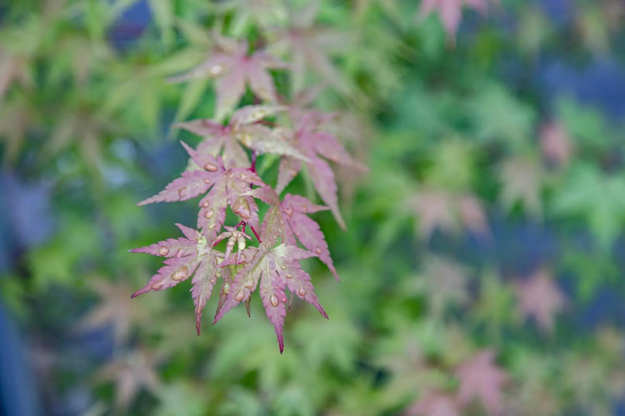 Property building in MADOKA Kyoto station west