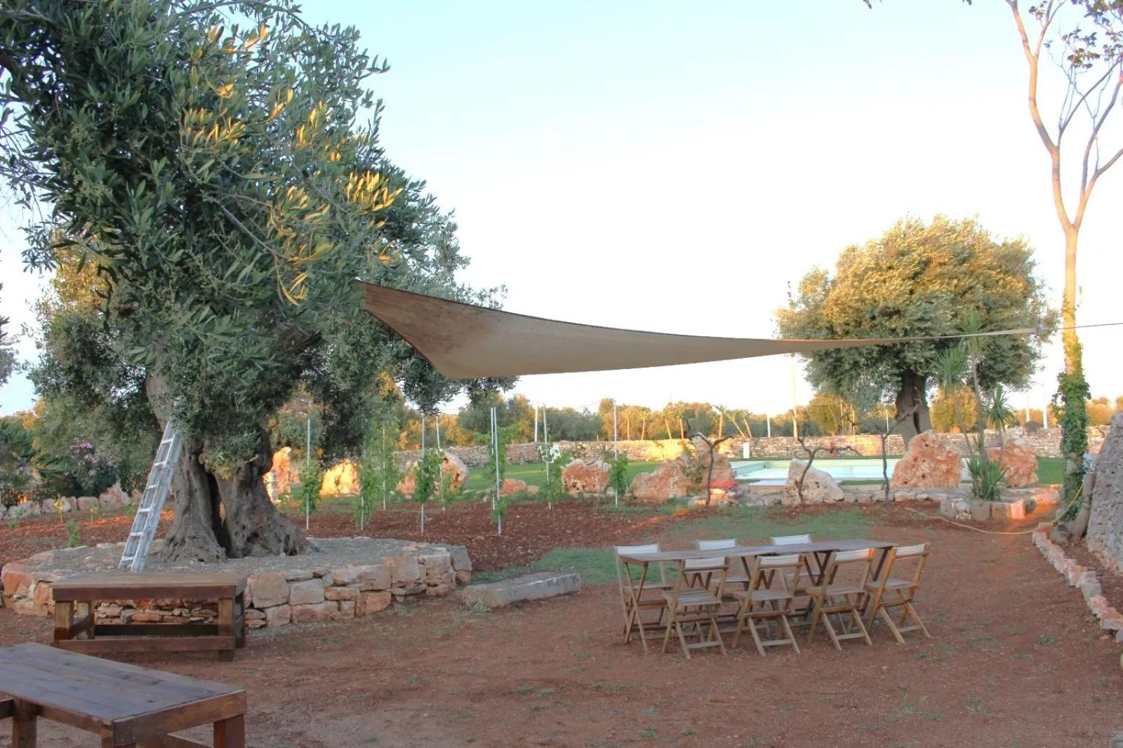 Restaurant/places to eat in Masseria Borgo Santuri