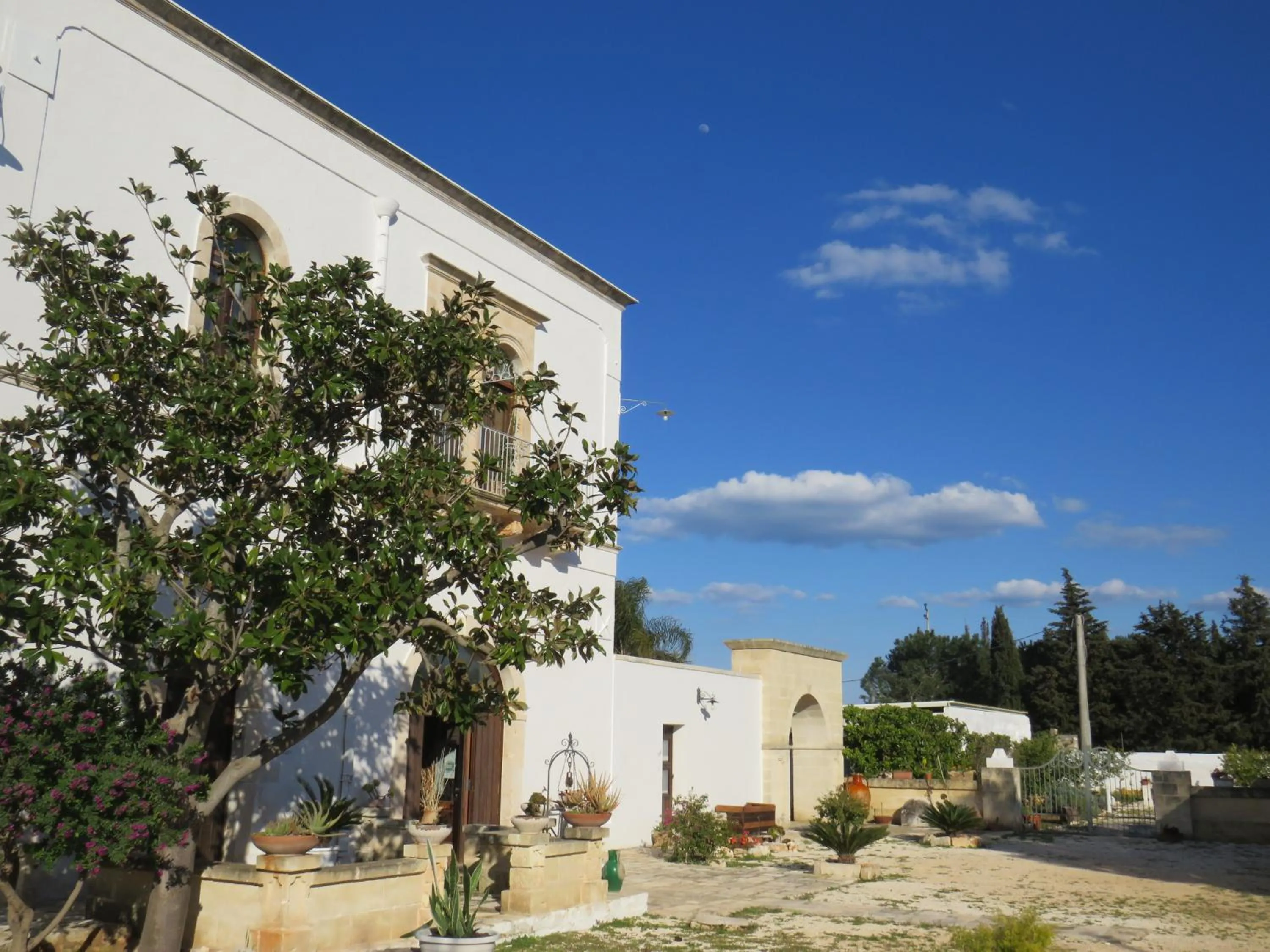 Property building in Masseria Borgo Santuri