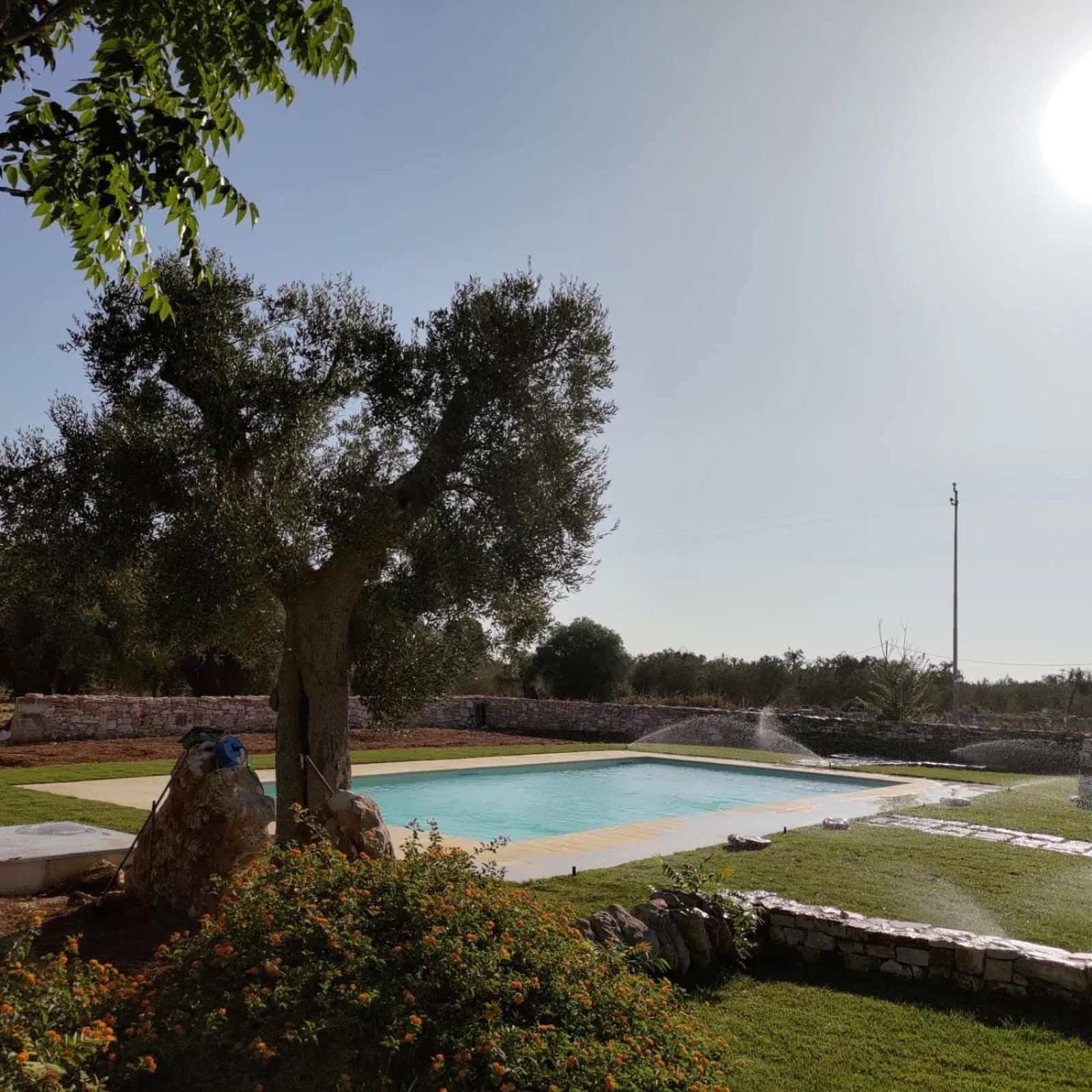 Swimming pool in Masseria Borgo Santuri