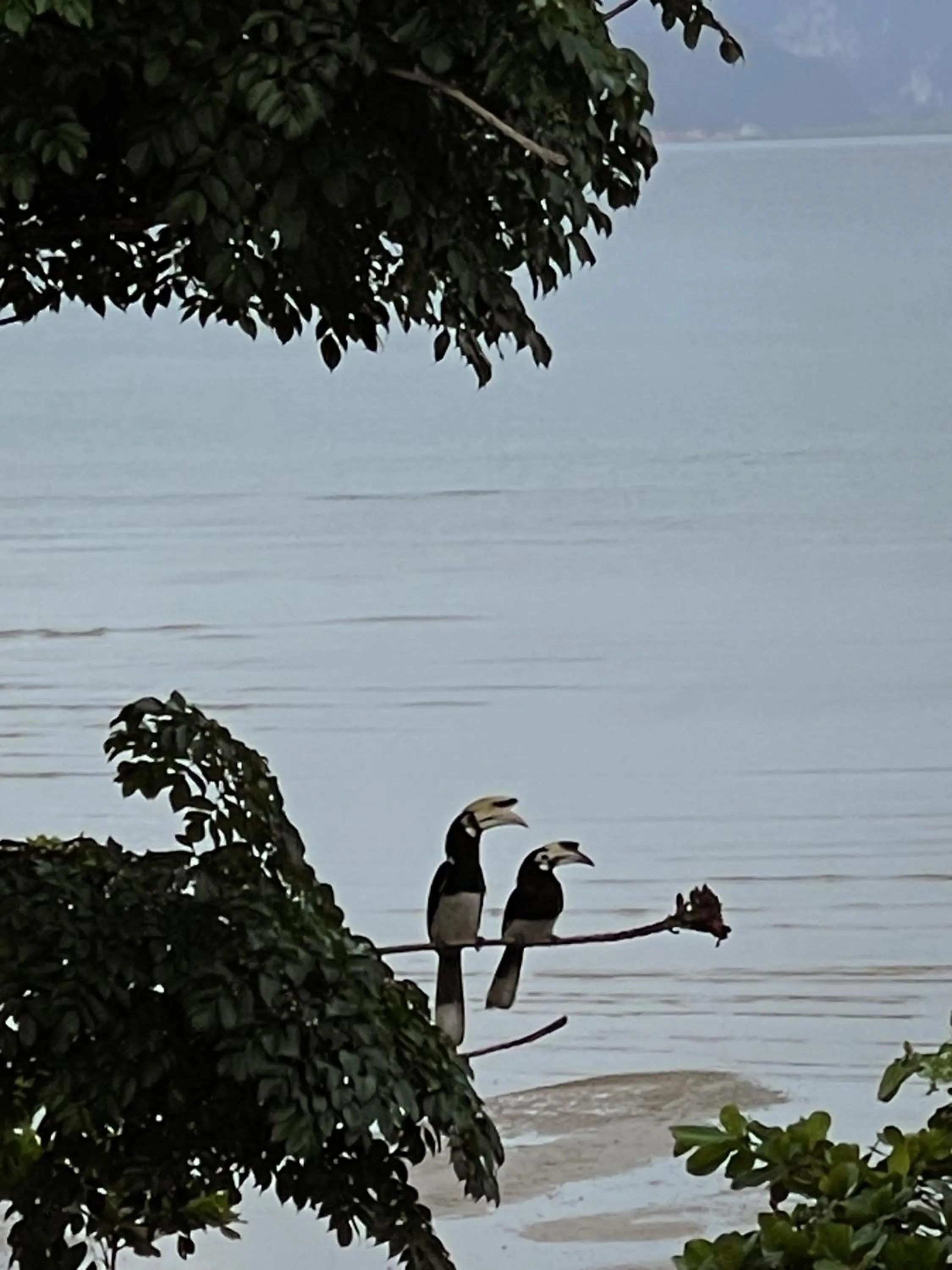 Day in Hillhouse - Koh Yao Noi