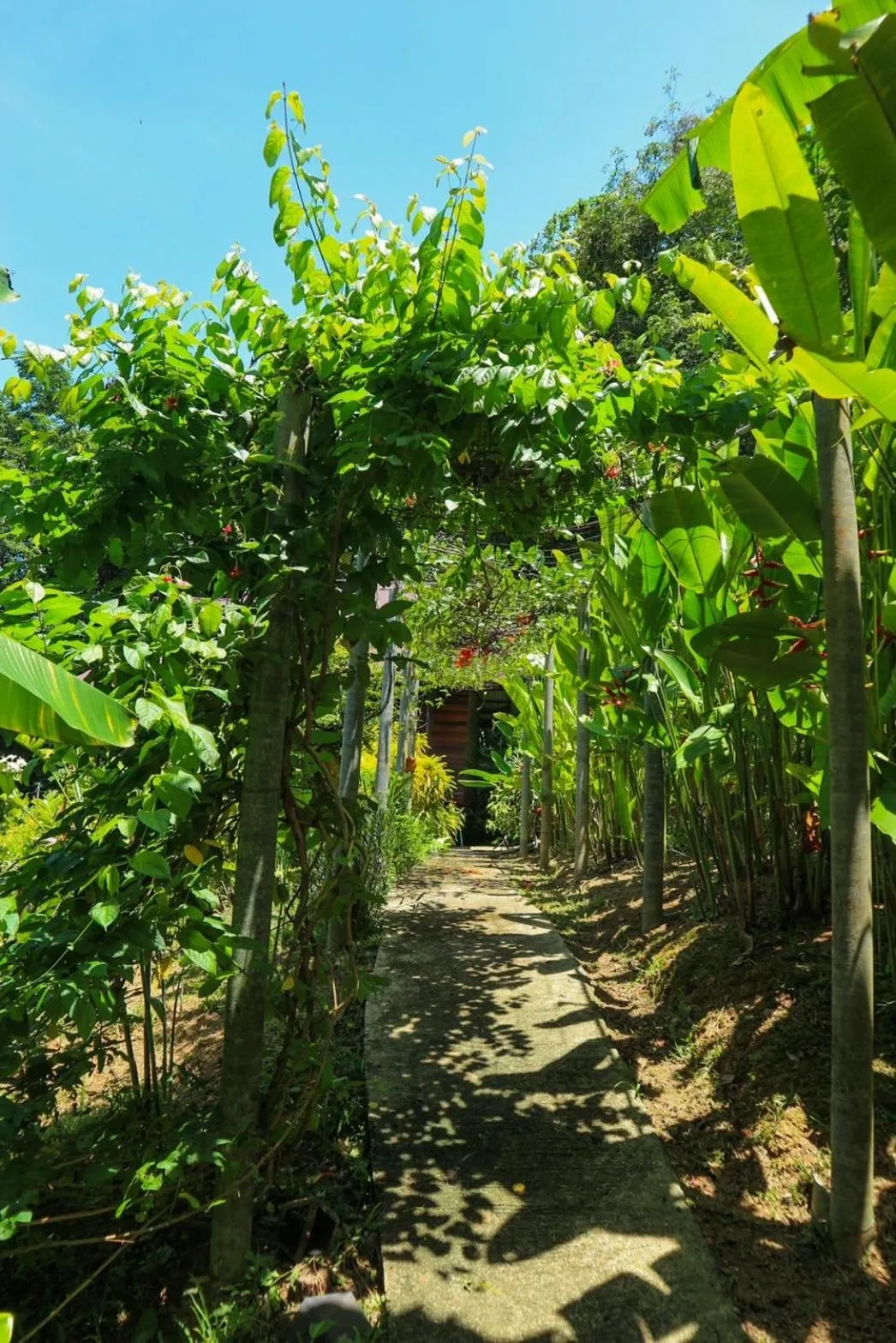 Day in Hillhouse - Koh Yao Noi