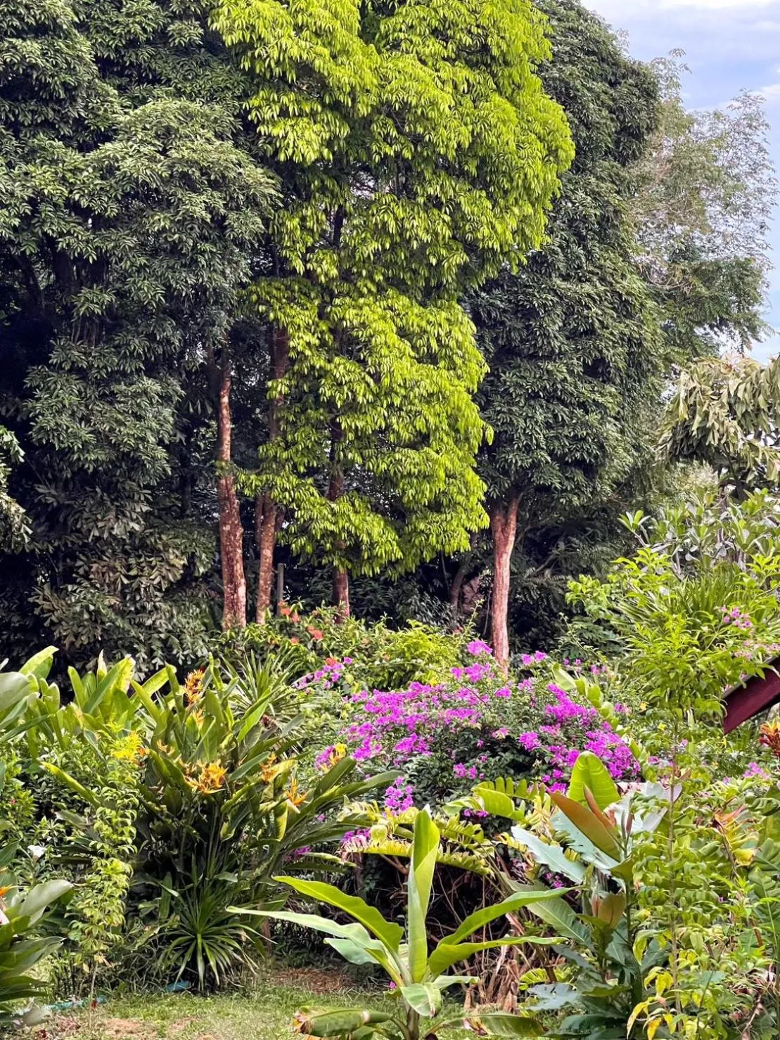 Day in Hillhouse - Koh Yao Noi