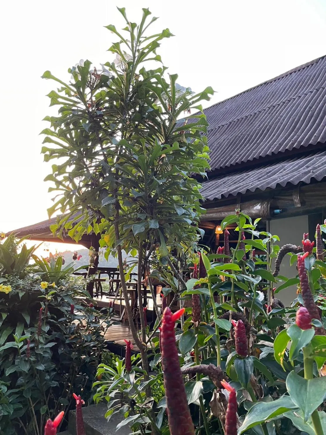 Day in Hillhouse - Koh Yao Noi