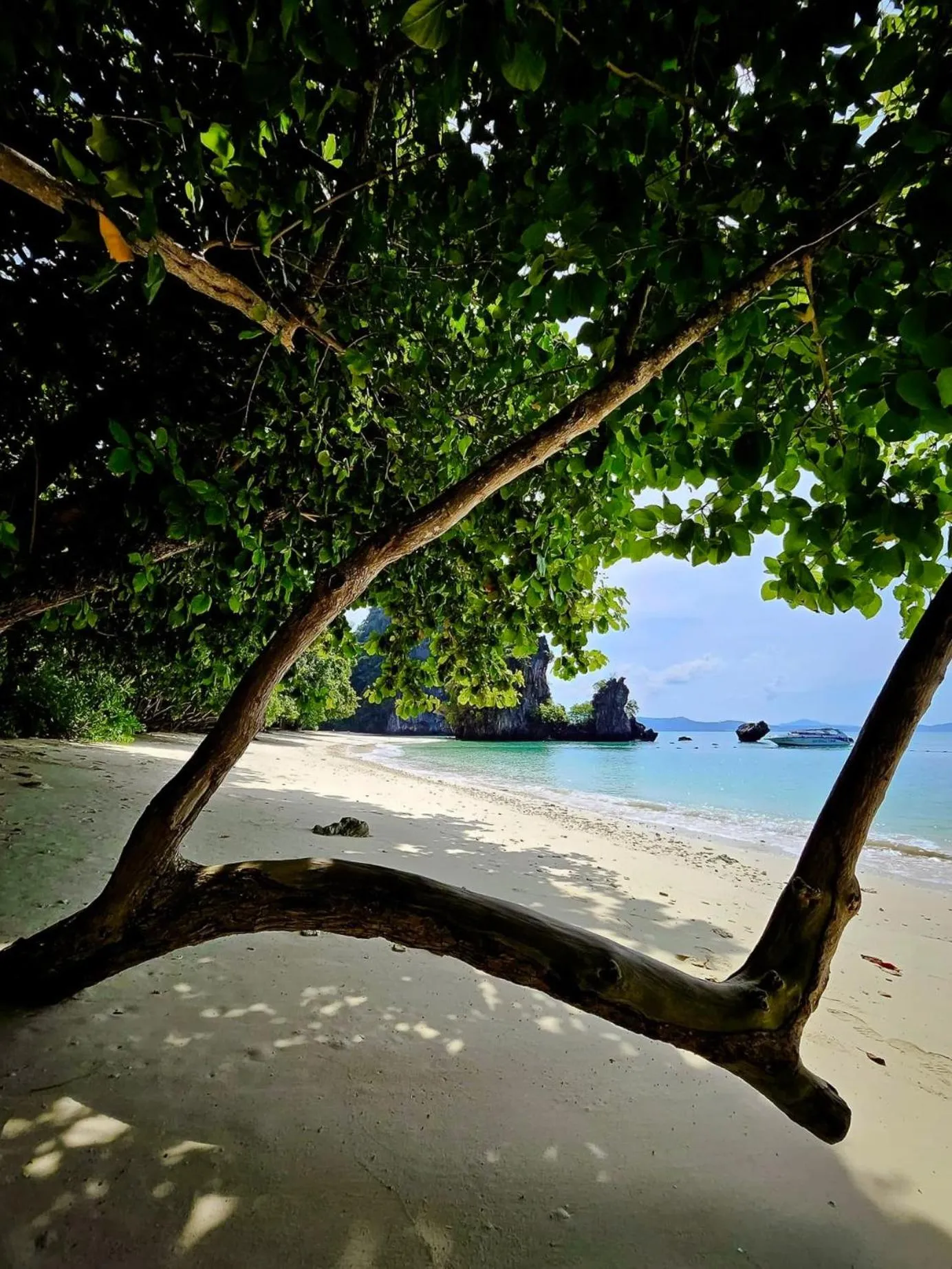 Day in Hillhouse - Koh Yao Noi