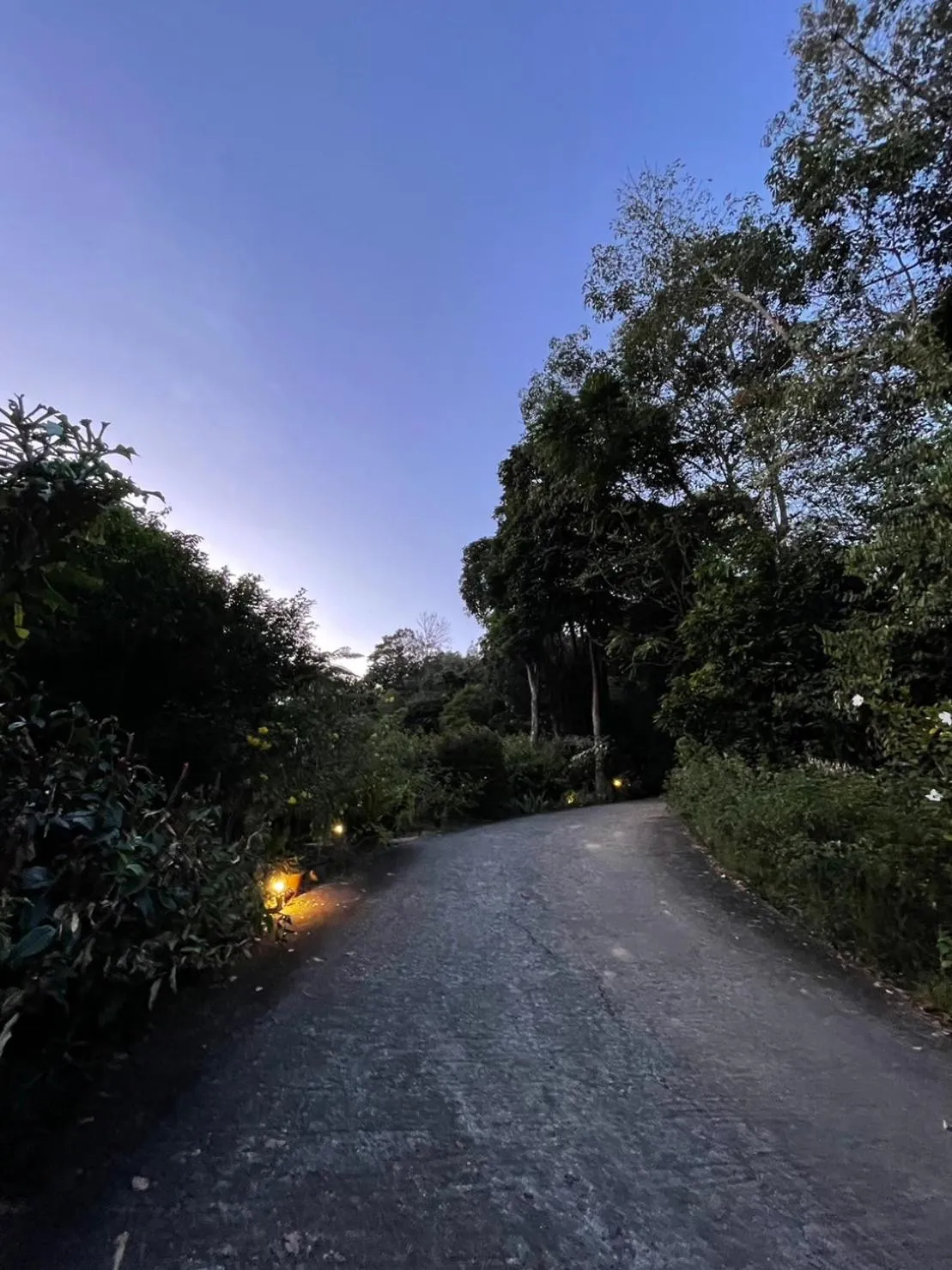 Natural landscape in Hillhouse - Koh Yao Noi