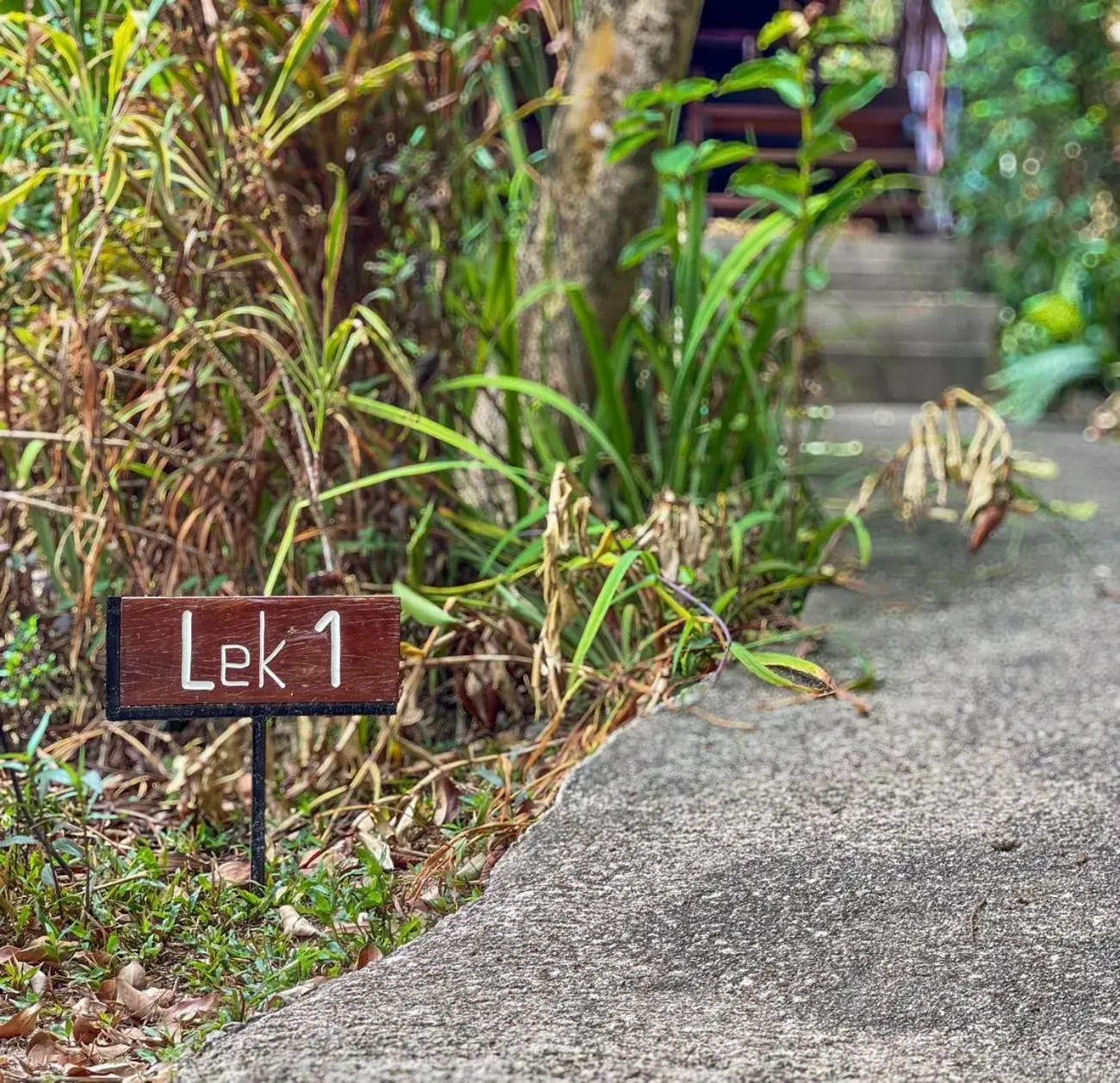 Standard Double Room with Fan in Hillhouse - Koh Yao Noi Standard Double Room with Fan in Hillhouse - Koh Yao Noi
