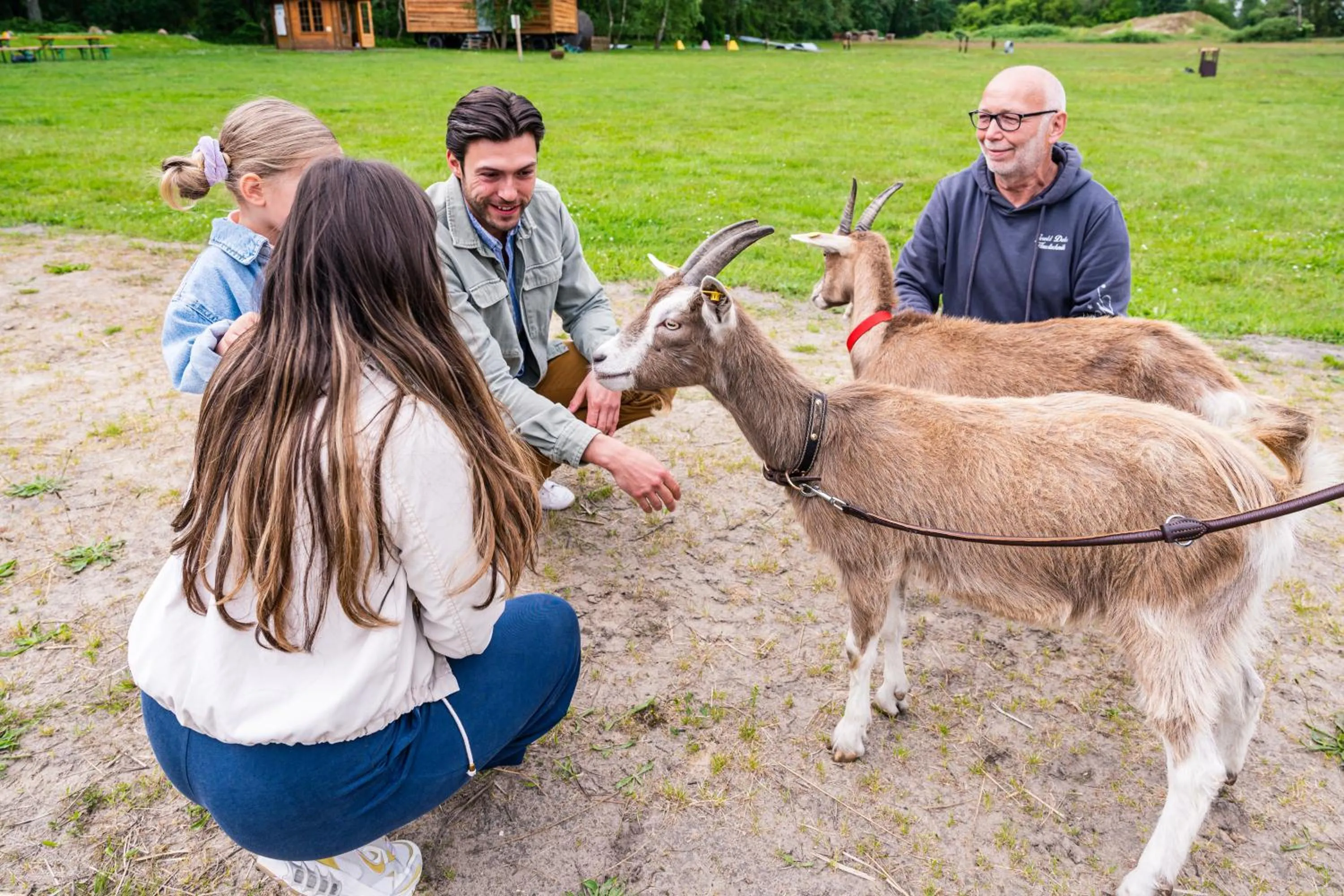 Animals in Meeressterne Hotel Forsthaus Damerow