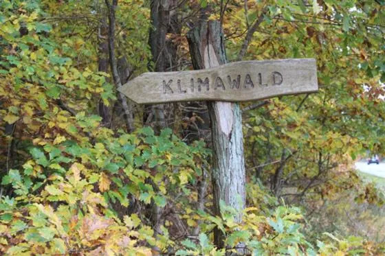 Hiking in Meeressterne Hotel Forsthaus Damerow