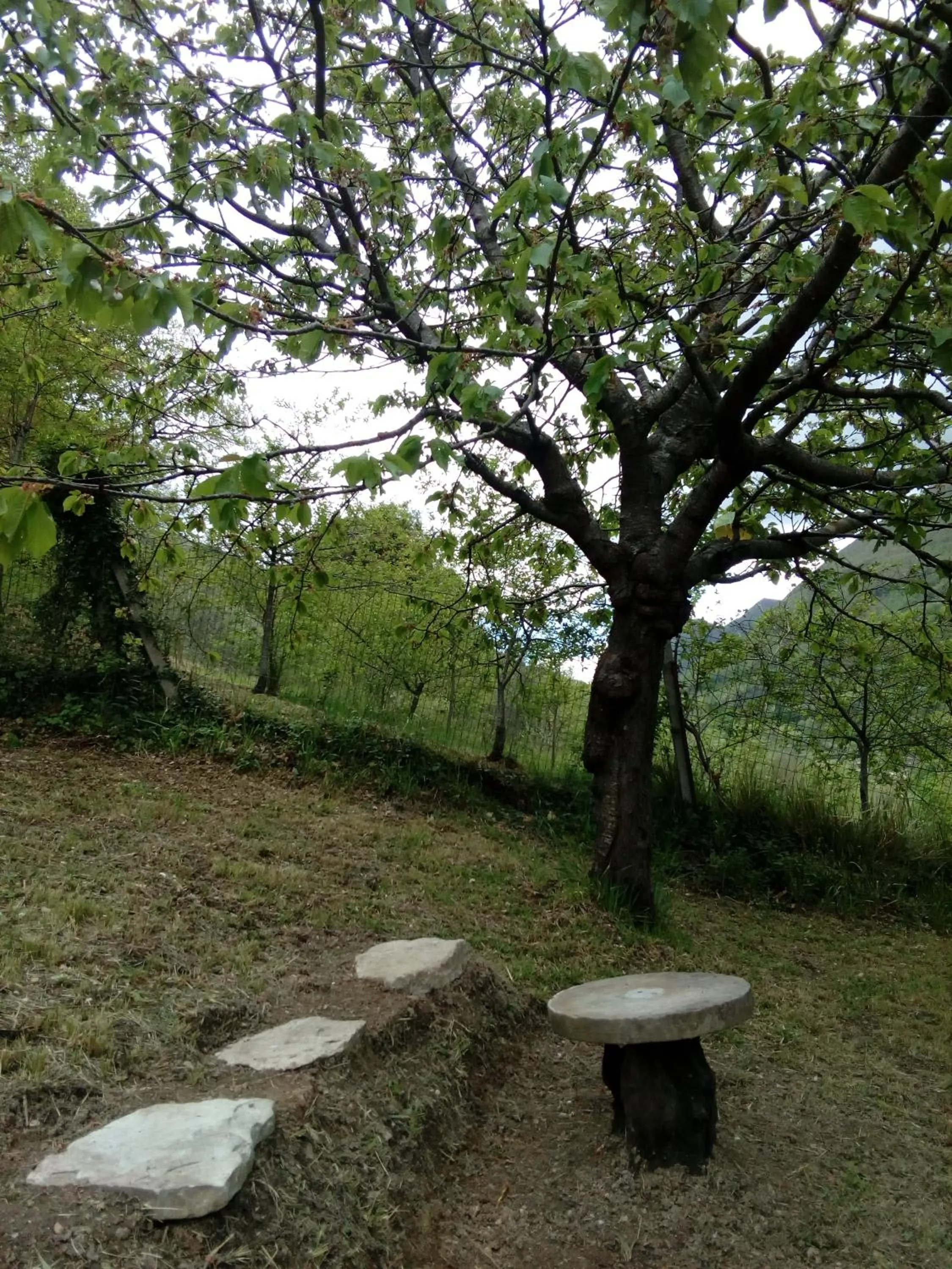 Bed & Breakfast SENTIERO 54