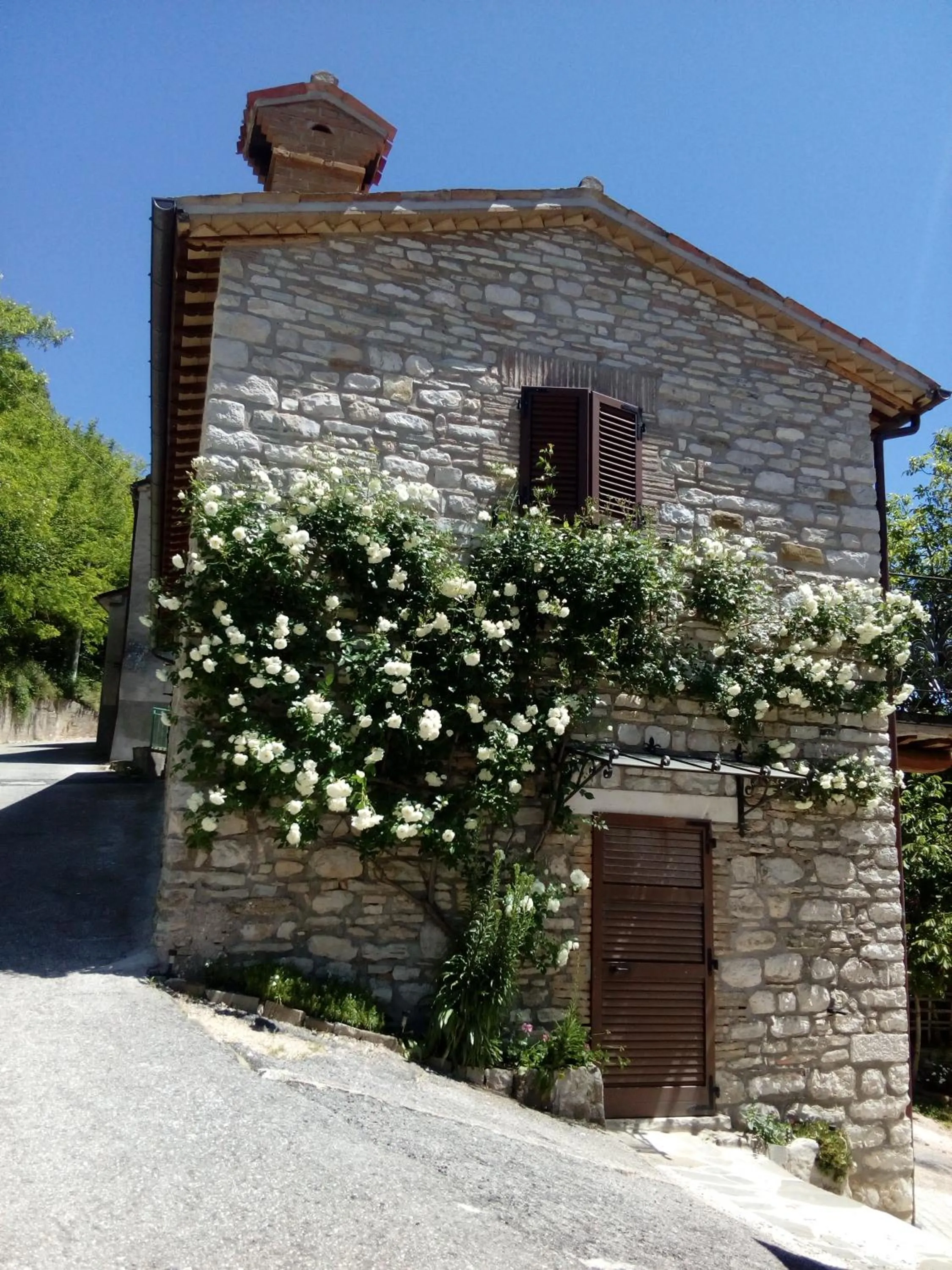 Bed & Breakfast SENTIERO 54