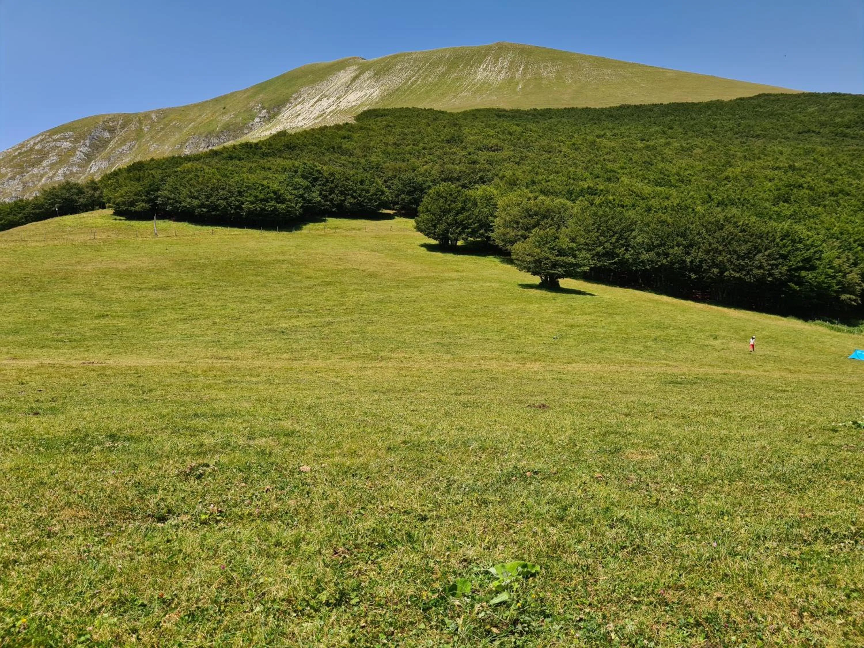 Bed & Breakfast SENTIERO 54