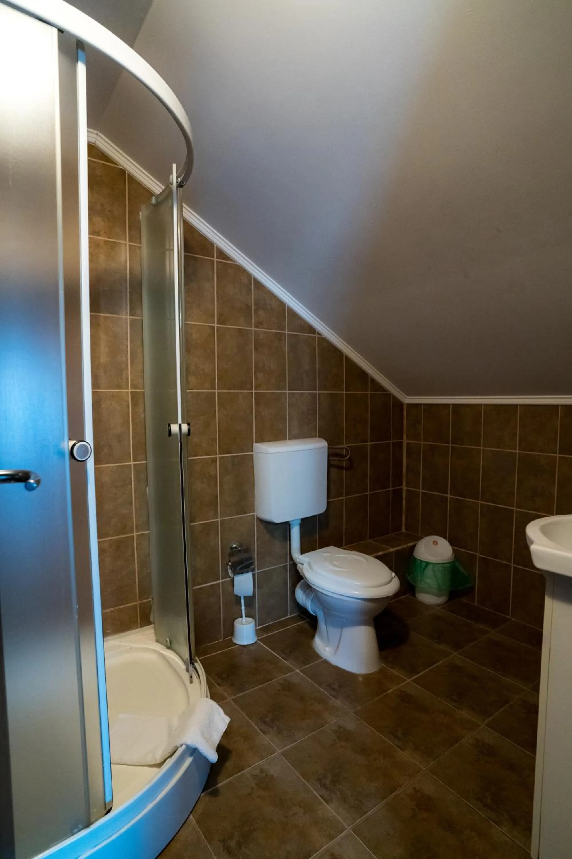 Bathroom in Pensiunea Dacia Deva